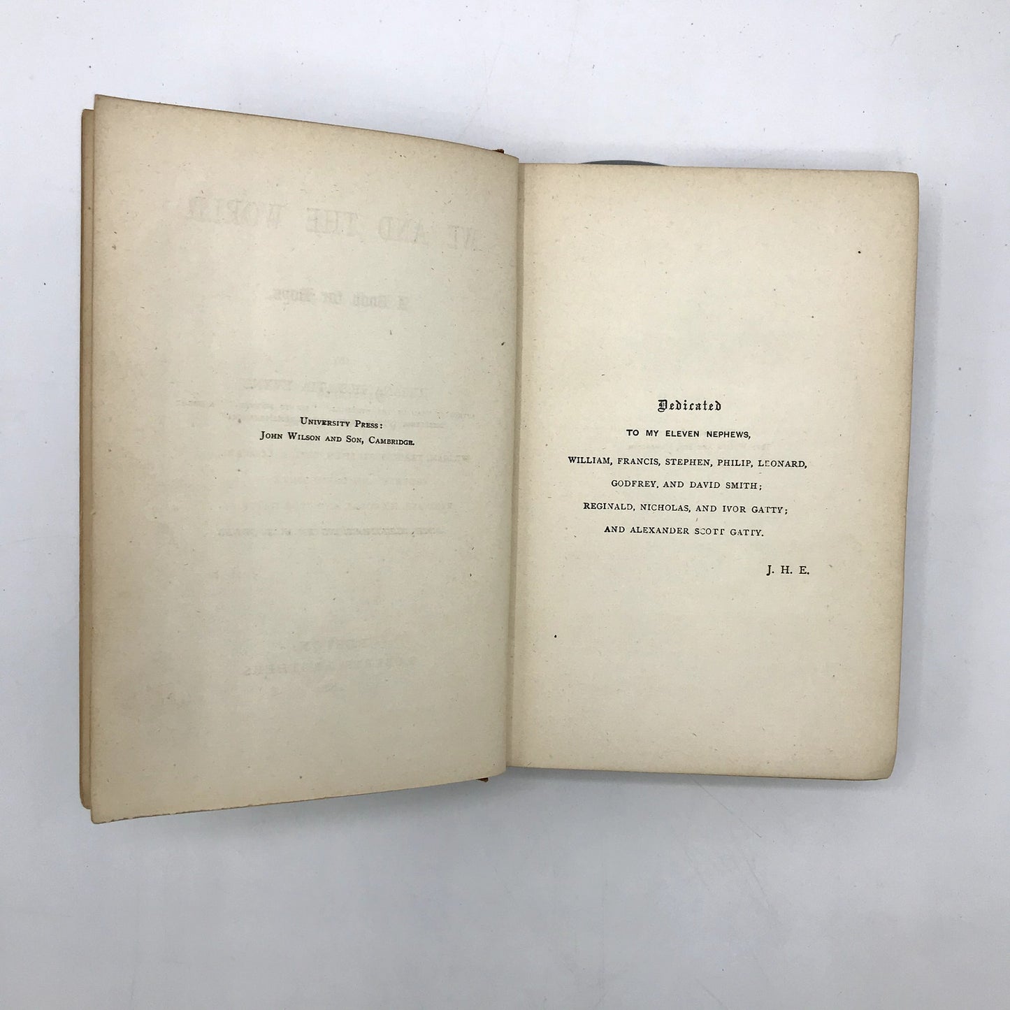 We & The World: A Book For Boys Illustrated Hardcover Juliana Horatia Ewing 1880