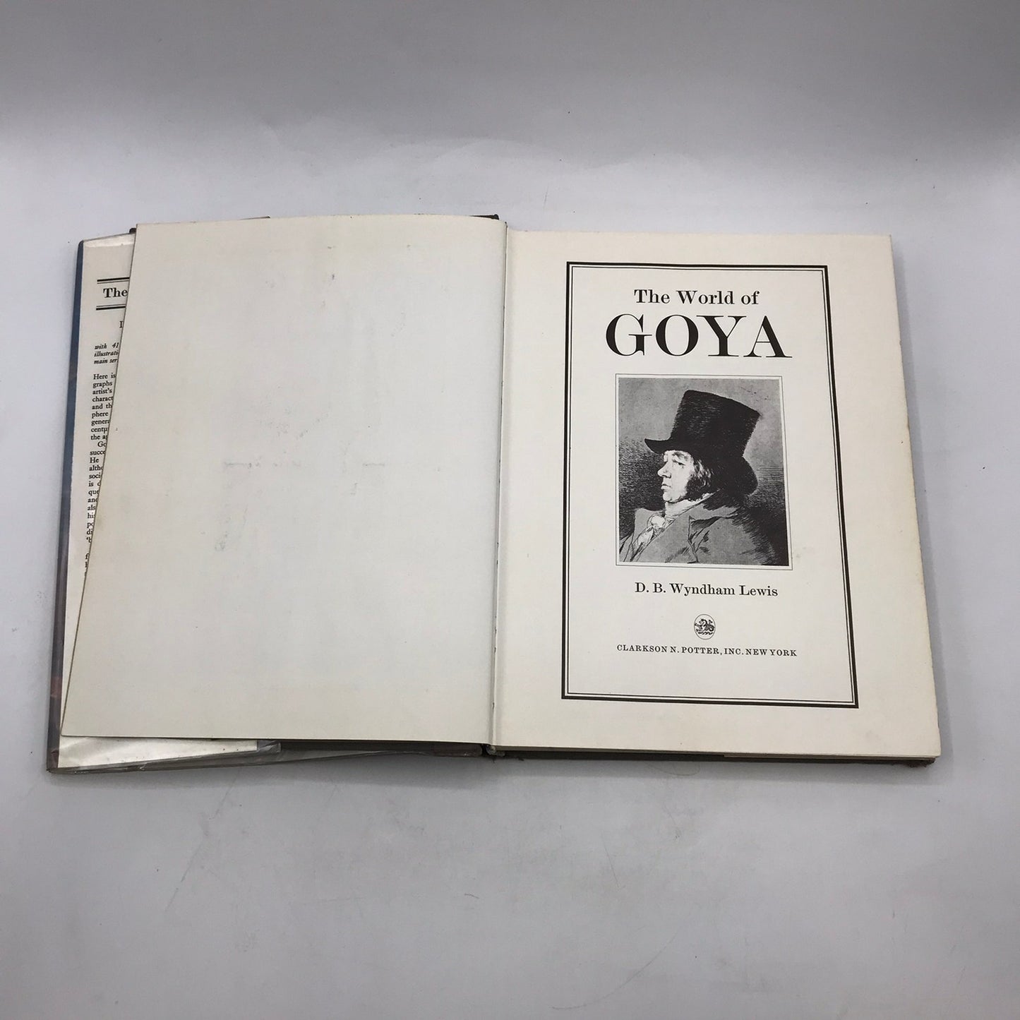 World of Goya D B Wyndham Lewis Spanish Painter Printmaker Art Culture History