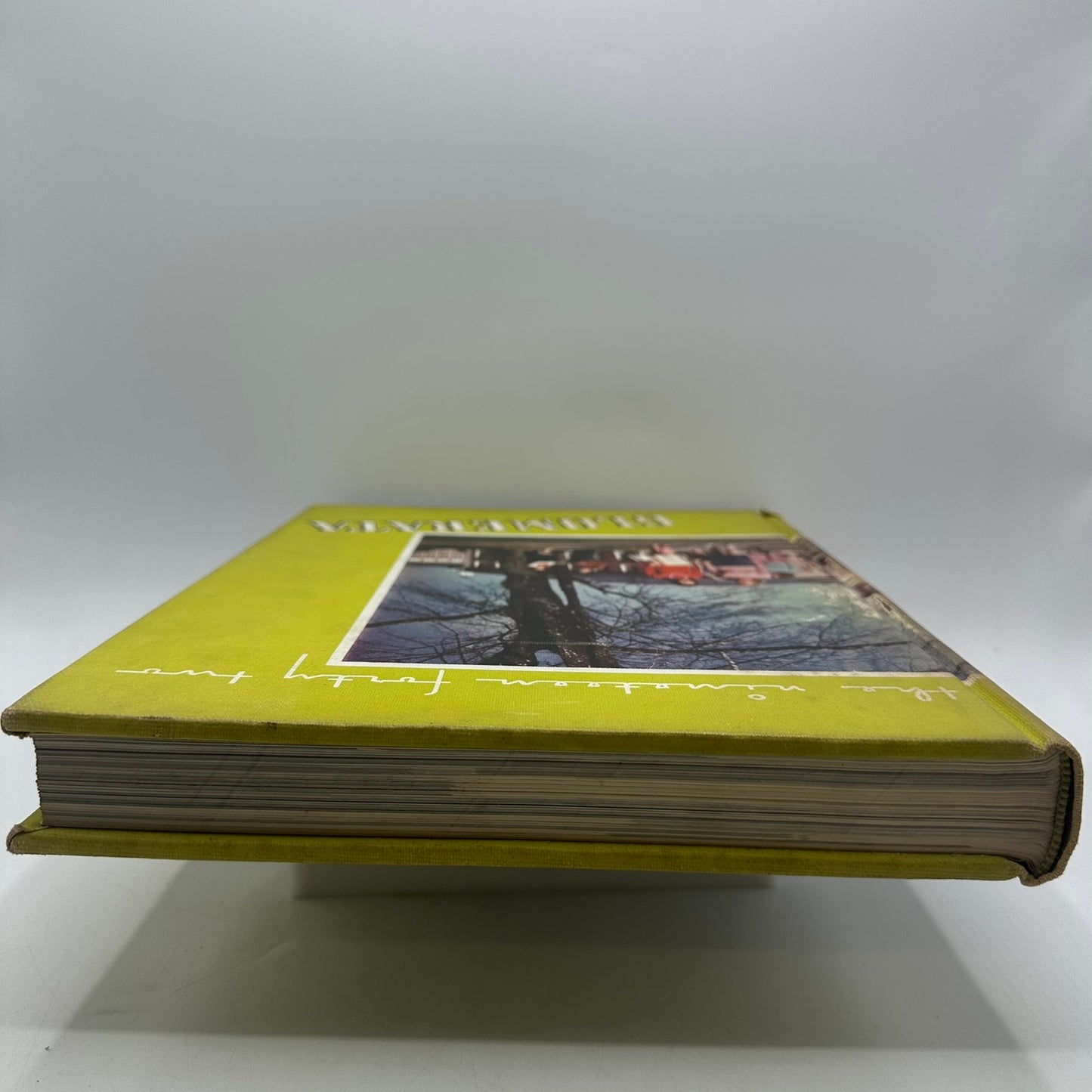 Glomerata 1942 Alabama Polytechnic Institute Auburn University Yearbook History