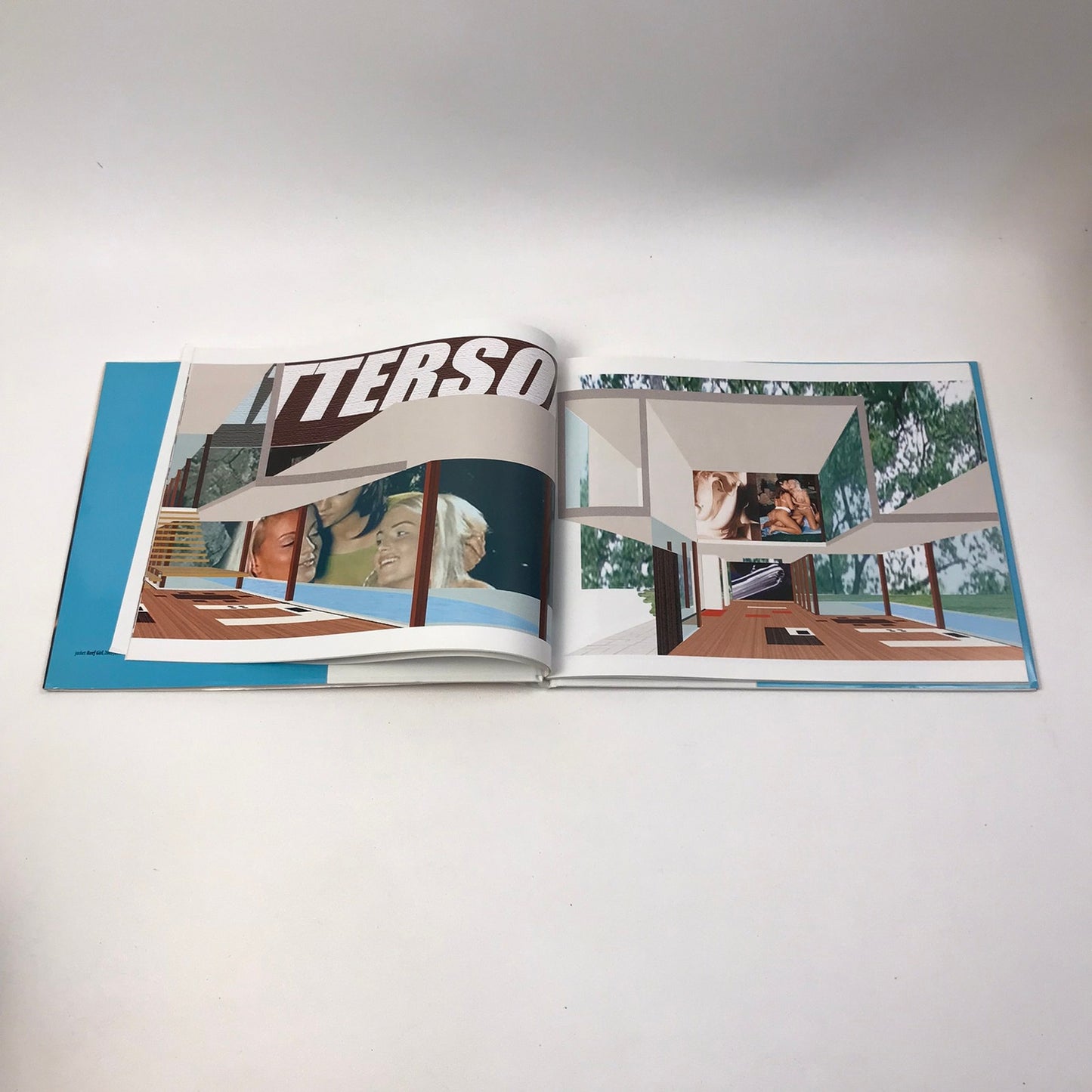 Richard Patterson Paintings from Dallas Contemporary Art Exhibition Catalog 2005