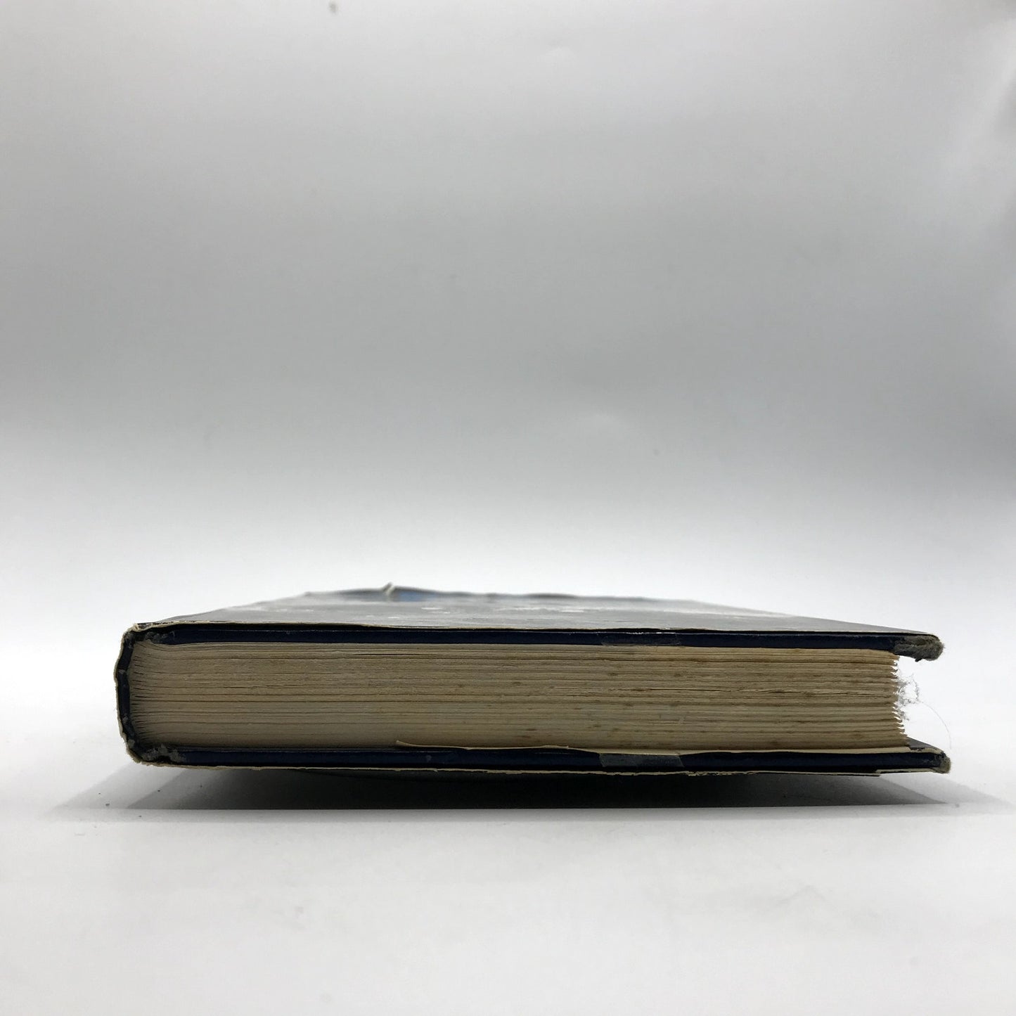The Star Thrower Illustrated Hardcover Science Book by Loren C. Eiseley 1978