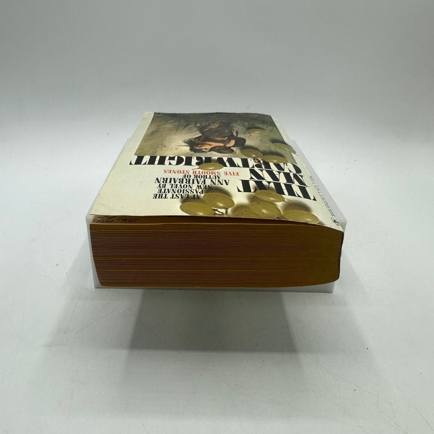 That Man Cartwright Ann Fairbairn Novel Social Justice Faith Hope Compassion