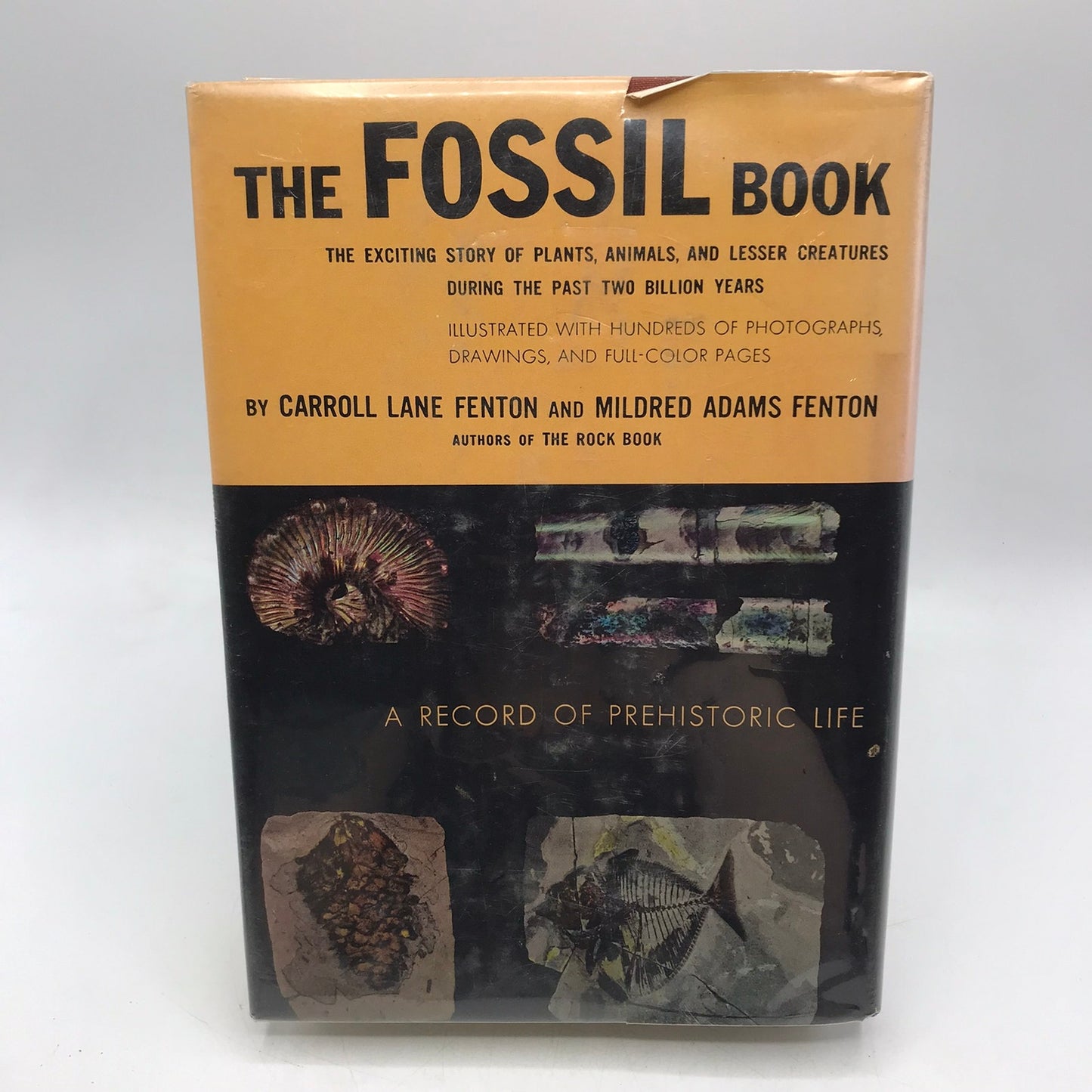 The Fossil Book Record of Prehistoric Life Carroll Lane and Mildred Adams Fenton
