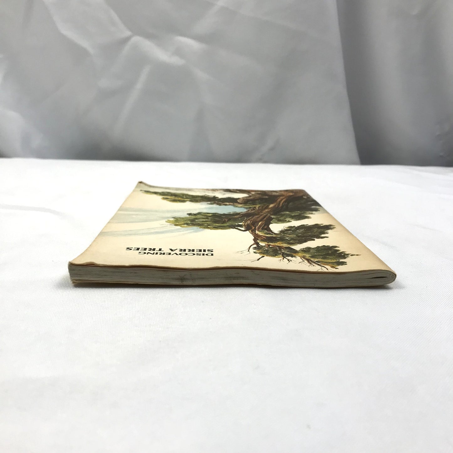 Discovering Sierra Trees Illustrated Paperback Book Stephen F. Arno 1973