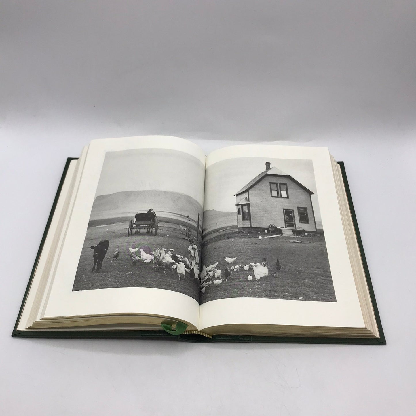 Leaves of Grass Walt Whitman American Identity Classic Nature Poetry Democracy