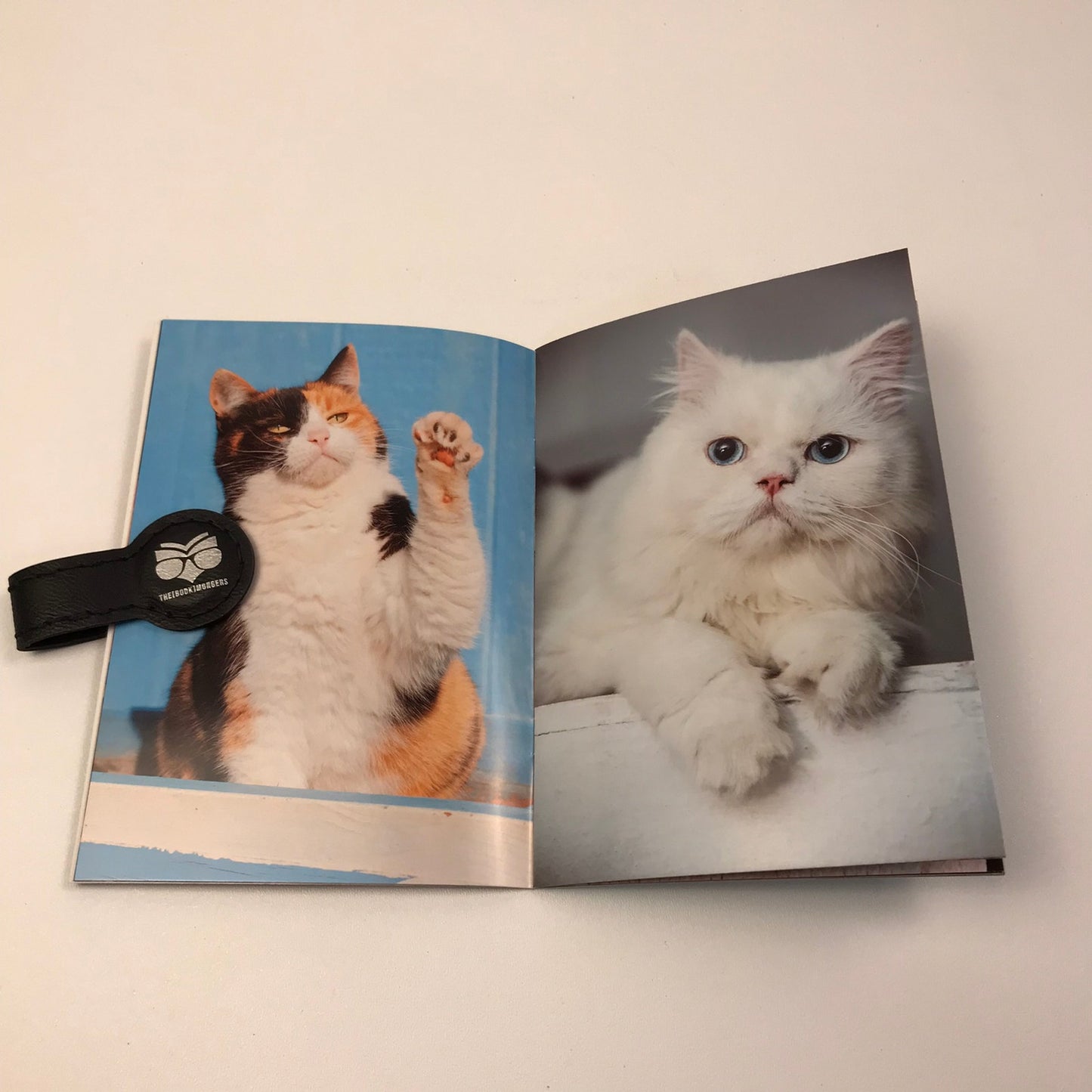 Assistex Picture Books For Adults Set of 12 Seniors Dementia Alzheimers Rehab