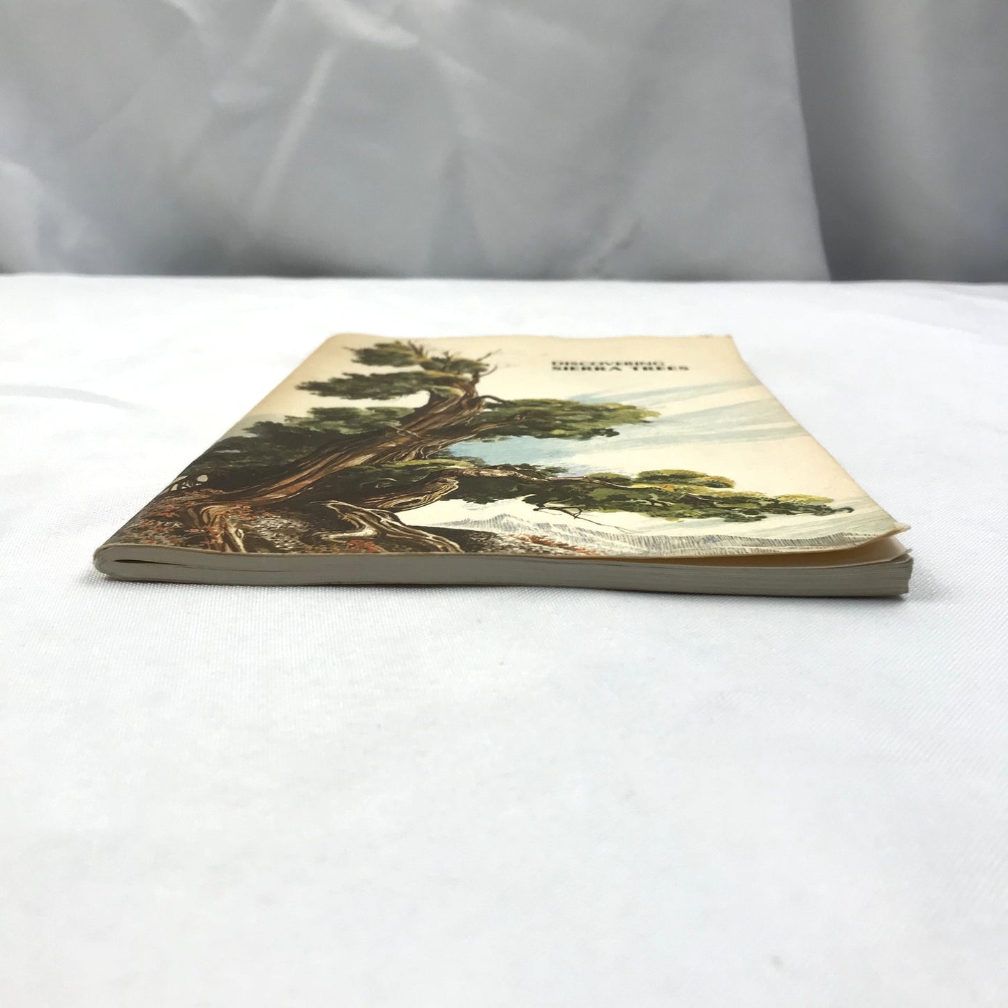 Discovering Sierra Trees Illustrated Paperback Book Stephen F. Arno 1973