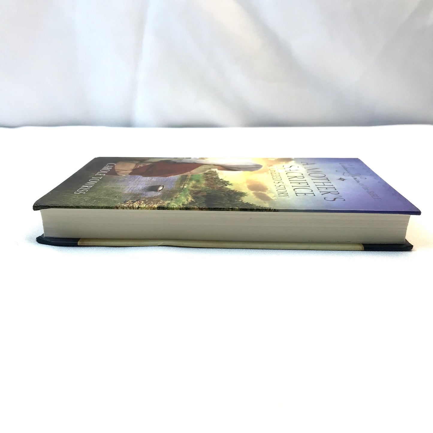 A Mother's Sacrifice Jochebed's Story Hardcover Book by Carole Towriss 2019