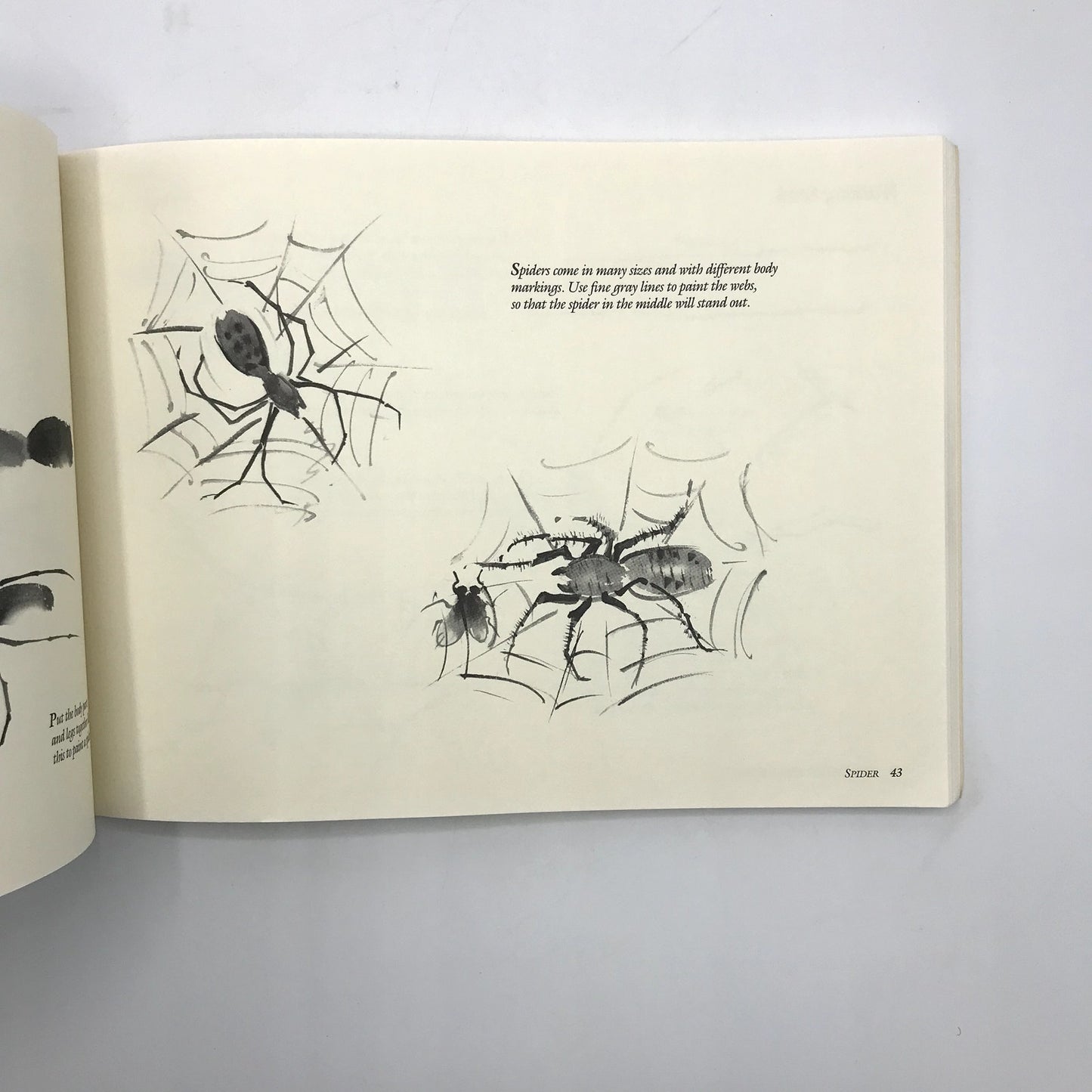 Lot of 3 Chinese & Japanese Painting Lessons Illustrated Art Books Step-by-Step