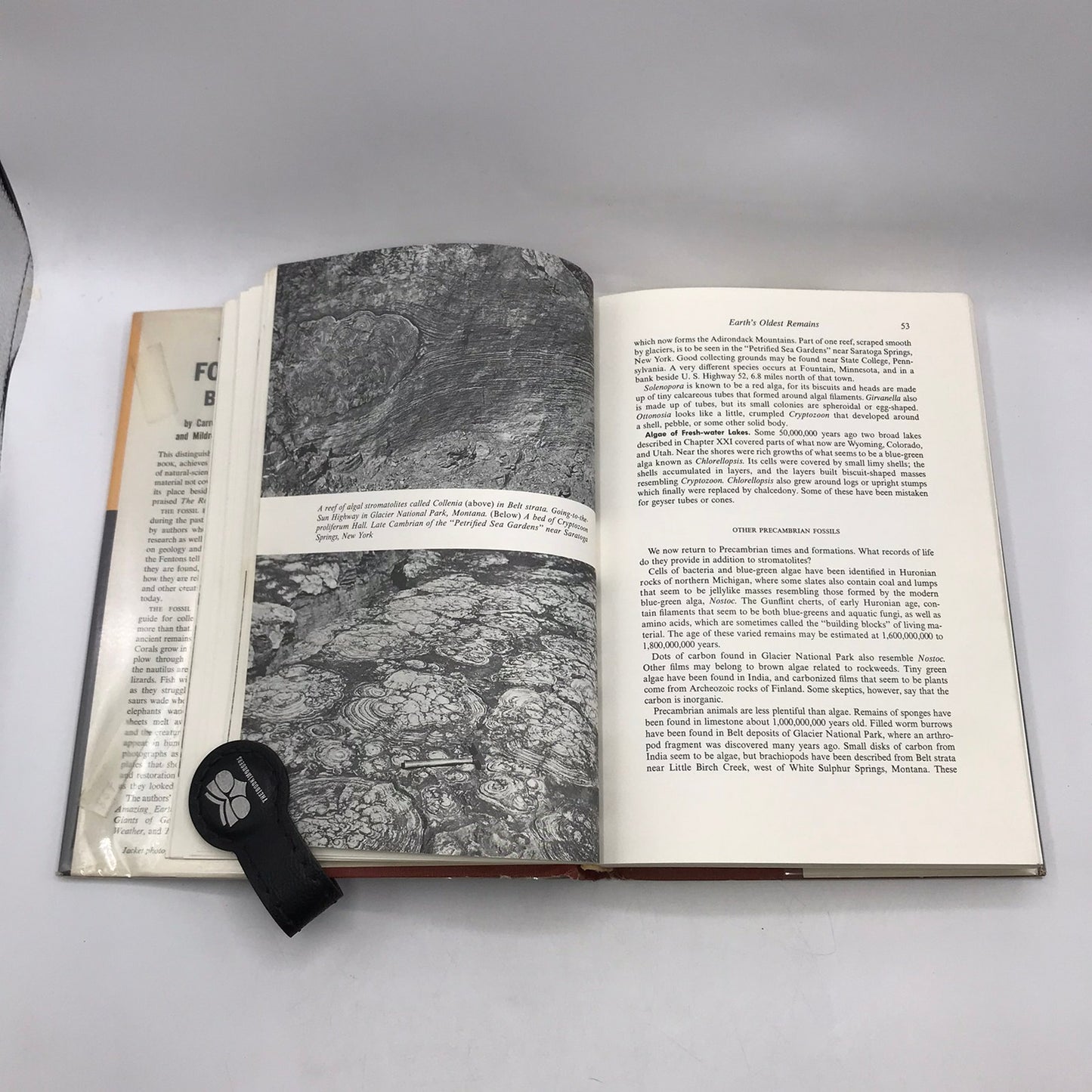 The Fossil Book Record of Prehistoric Life Carroll Lane and Mildred Adams Fenton