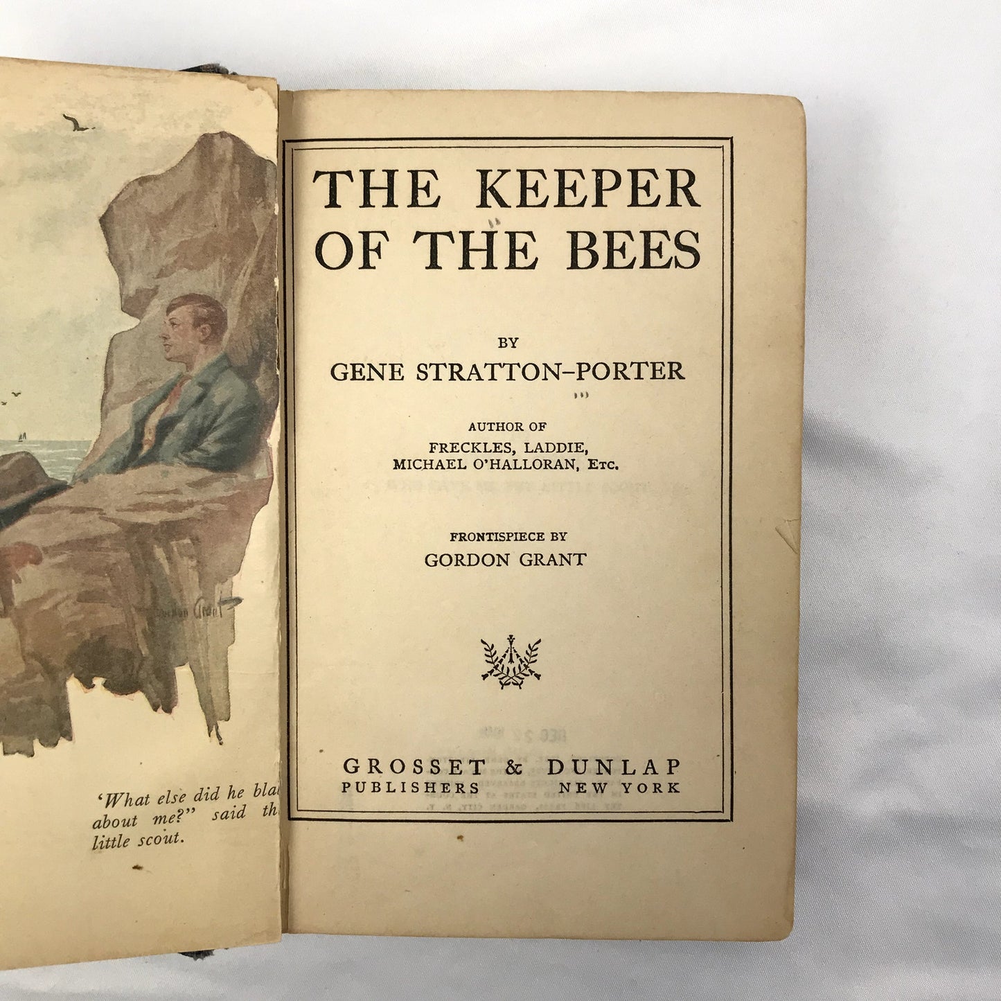The Keeper of the Bees Illustrated Hardcover Book by Gene Stratton-Porter 1925
