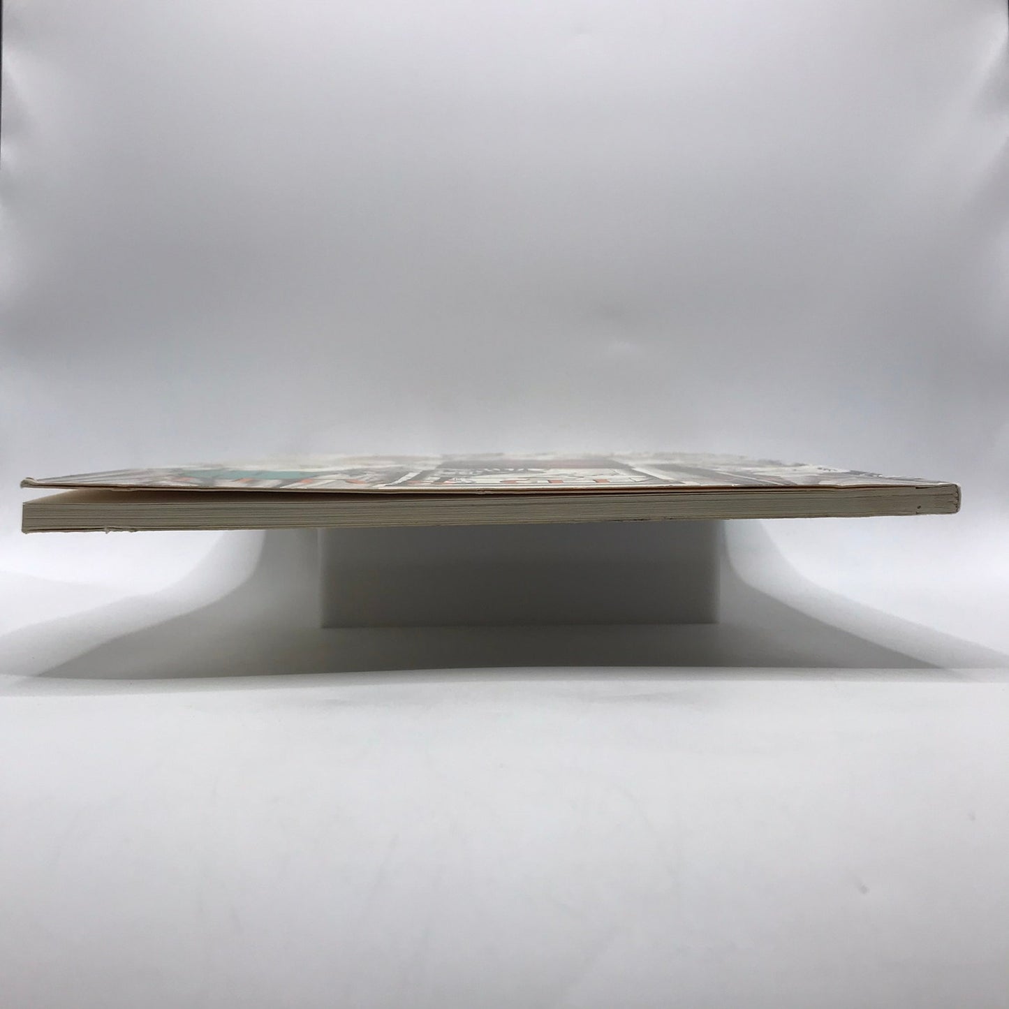 David Salle Art Exhibition Catalog Post Modern Contemporary Expressionism 1991