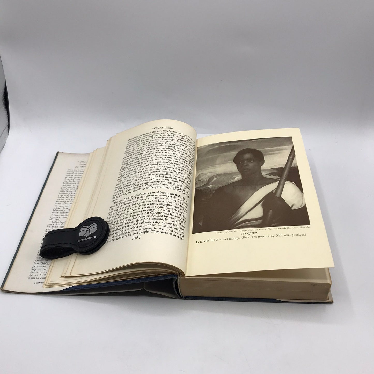 Willard Gibbs American Genius Muriel Rukeyser Biography Philosophy Prose Poetry