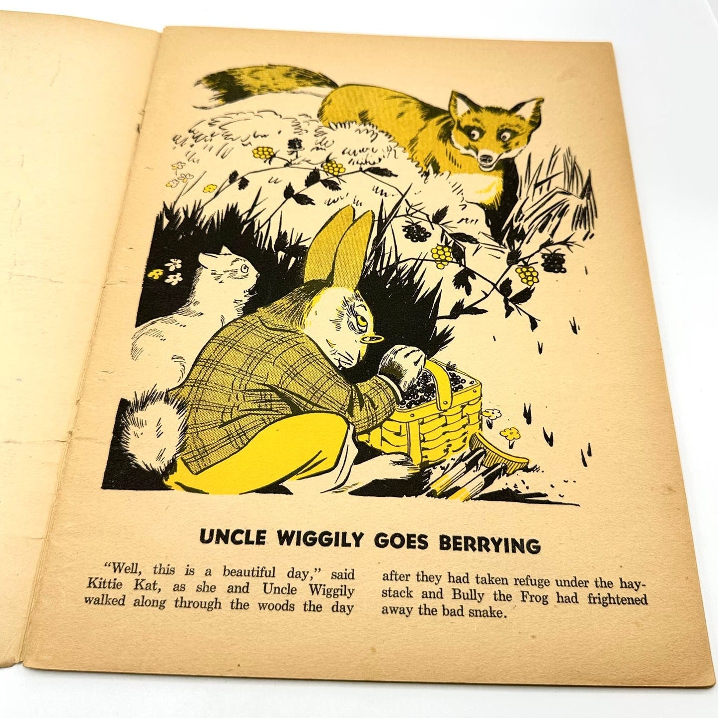 Uncle Wiggily Goes Berrying 12 Stories by Howard R. Garris 1946 Illustrated Book