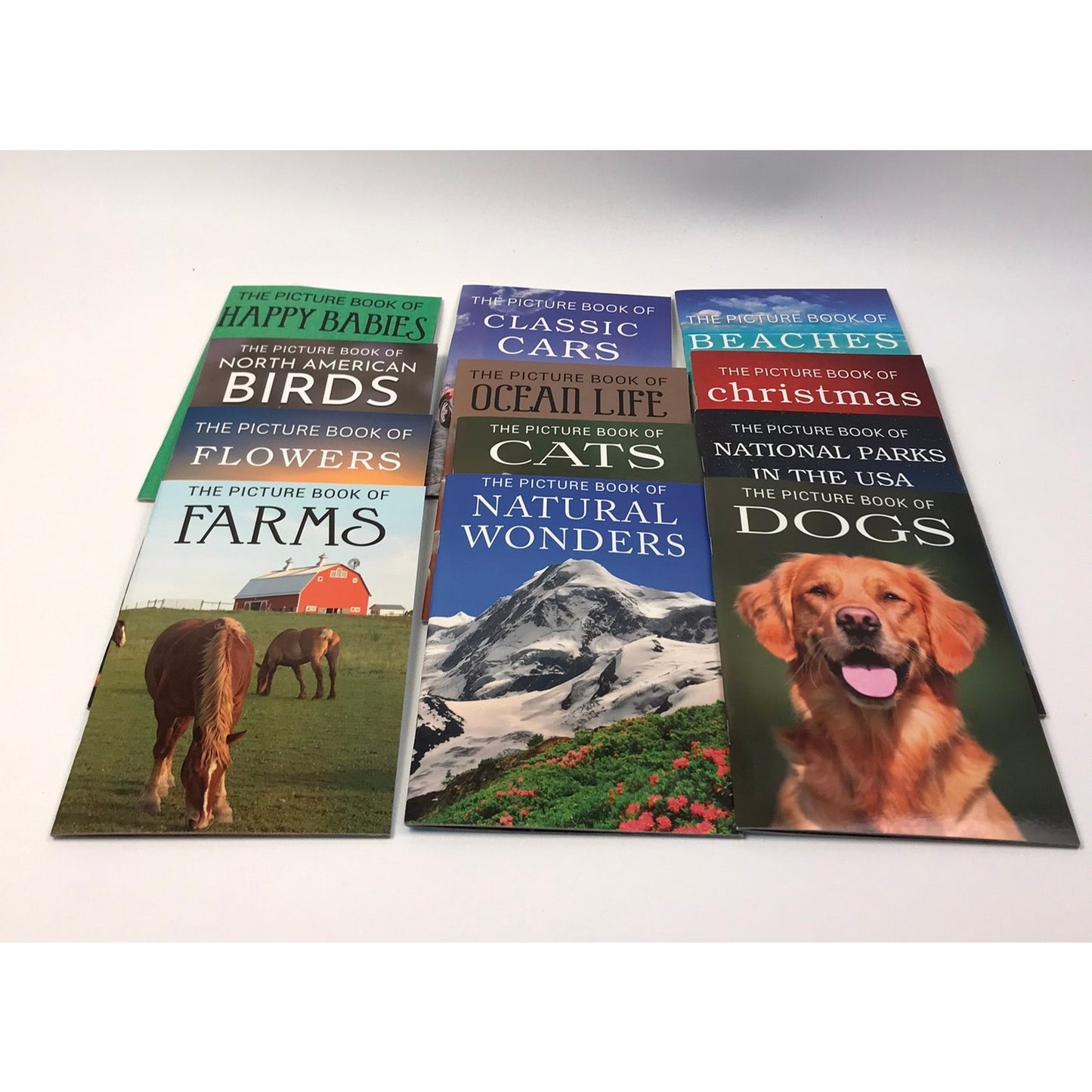 Assistex Picture Books For Adults Set of 12 Seniors Dementia Alzheimers Rehab