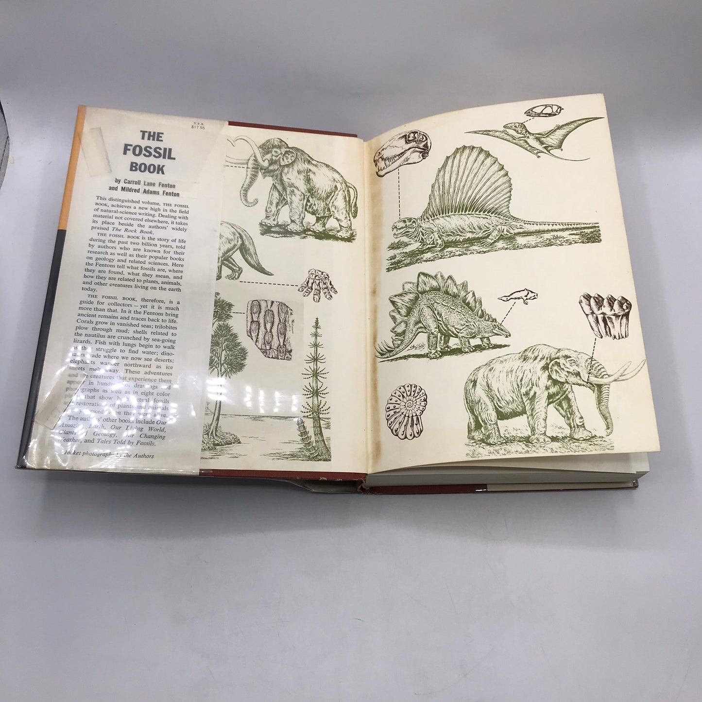 The Fossil Book Record of Prehistoric Life Carroll Lane and Mildred Adams Fenton