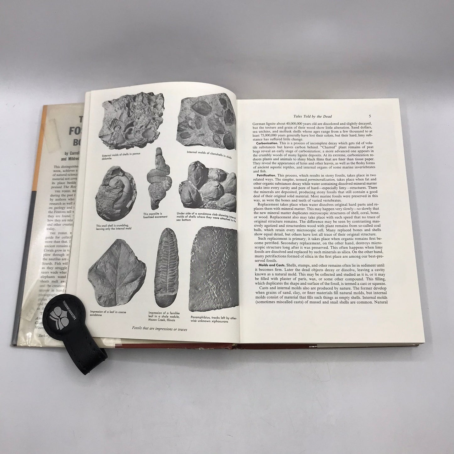 The Fossil Book Record of Prehistoric Life Carroll Lane and Mildred Adams Fenton