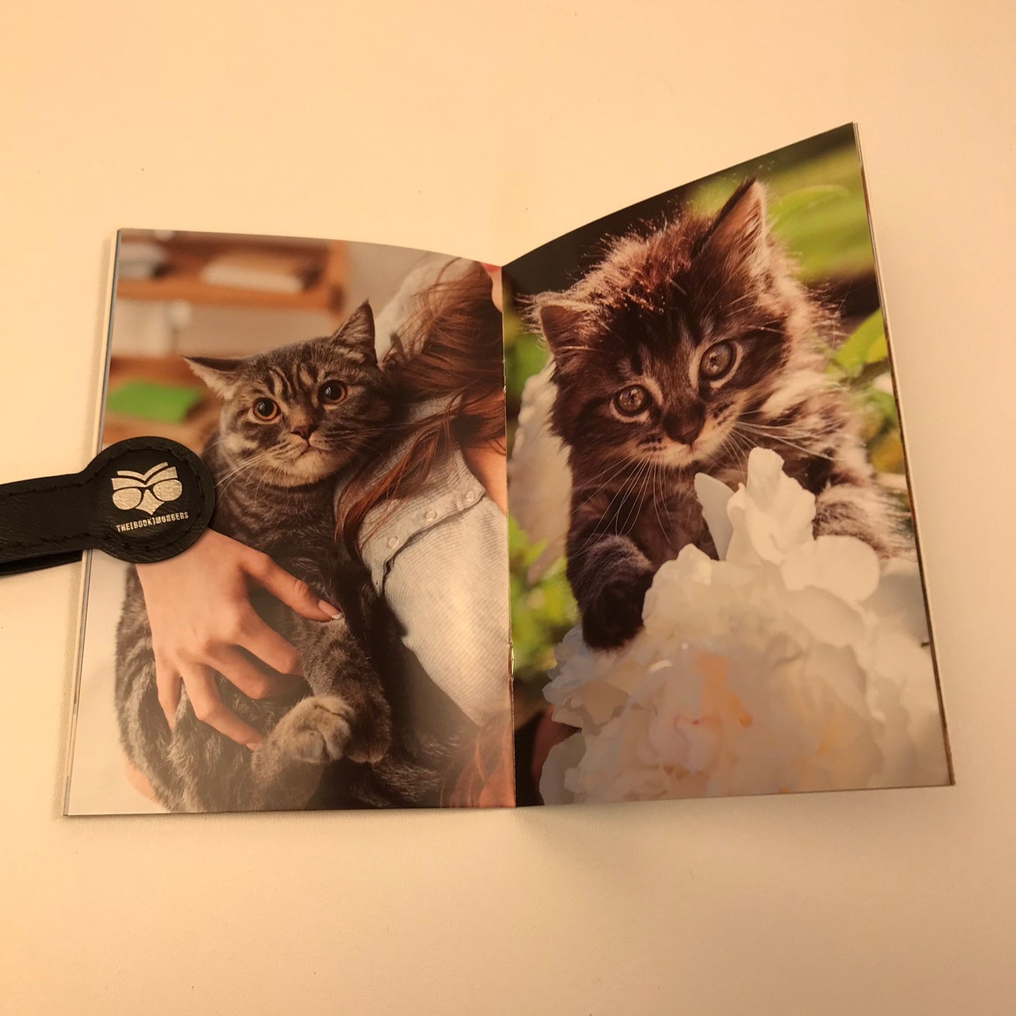 Assistex Picture Books For Adults Set of 12 Seniors Dementia Alzheimers Rehab