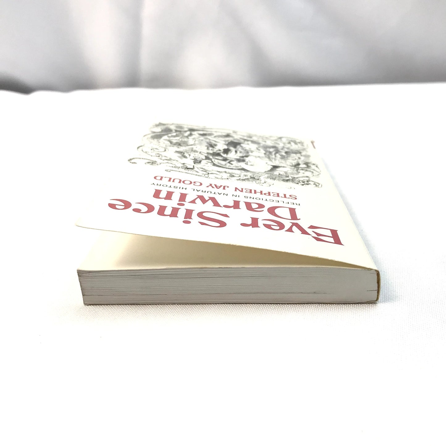 Ever Since Darwin: Reflections in Natural History Book by Stephen Jay Gould 1979