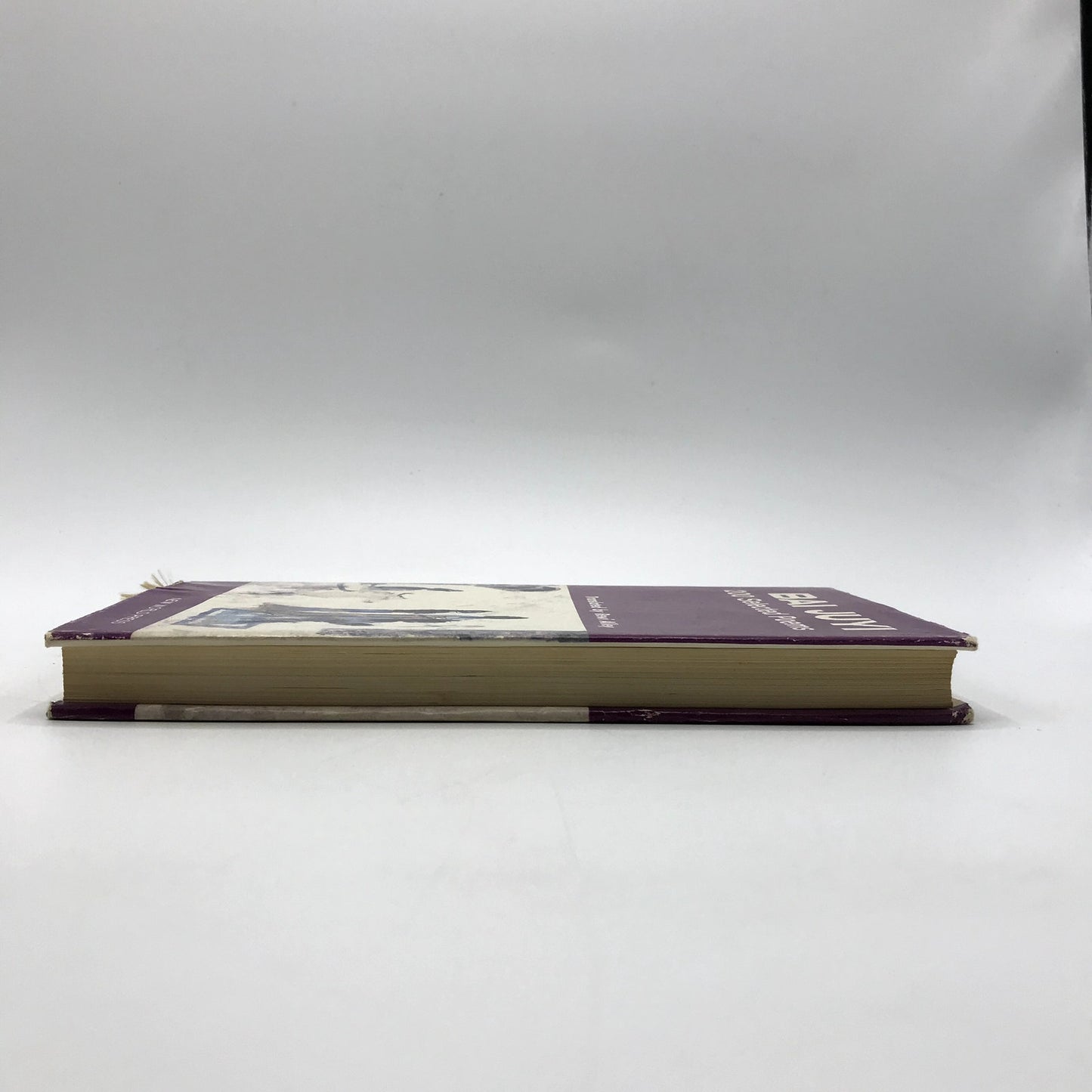 Bai Juyi 200 Selected Poems Hardcover Book by Rewi Alley 1983 First Edition
