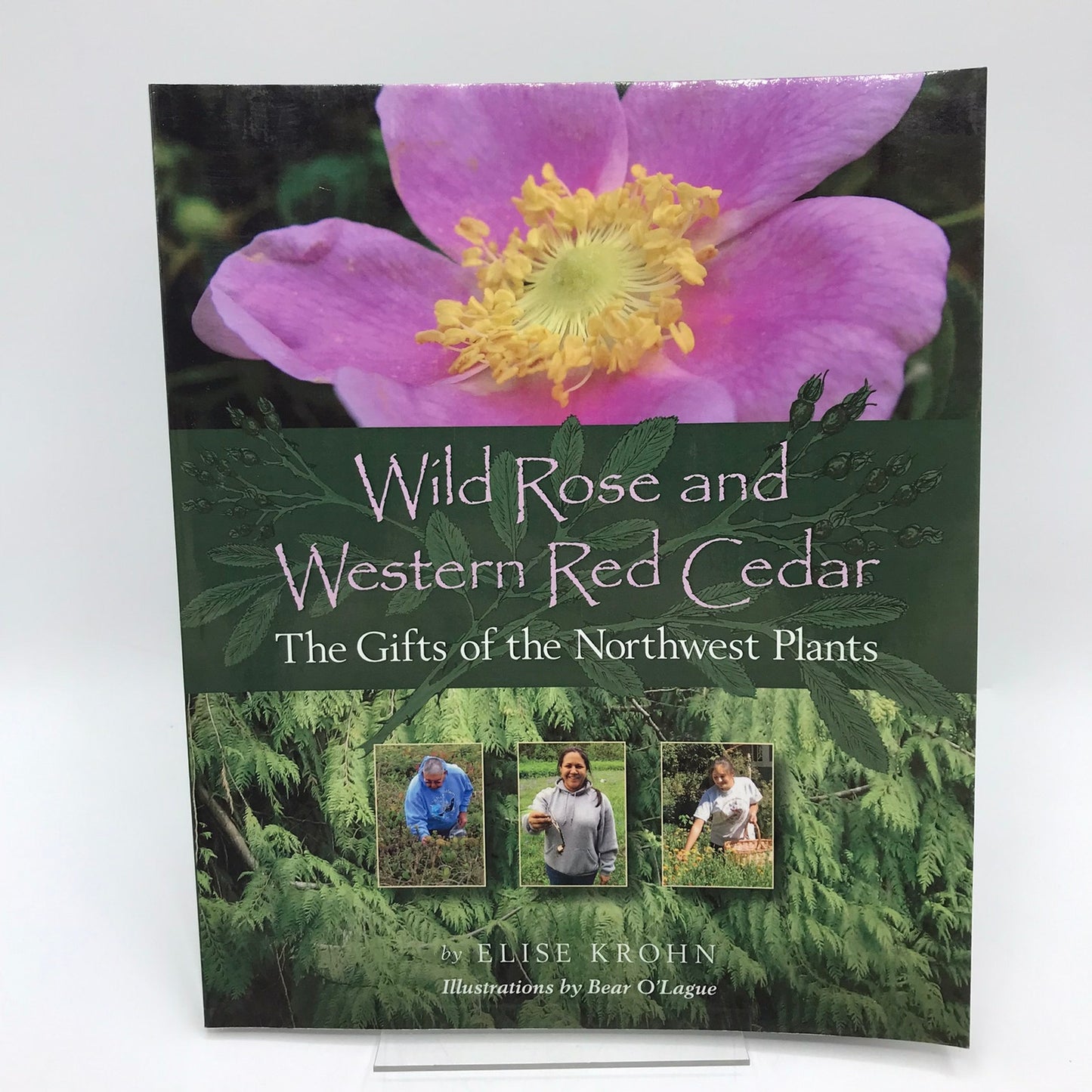 Wild Rose and Western Red Cedar Elise Krohn SIGNED Northwest Plant Medicine