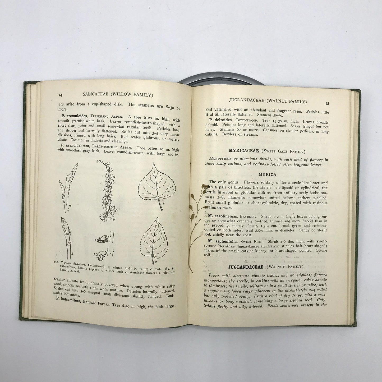 A Spring Flora For High Schools Illustrated Hardcover Book by Cowles & Coulter
