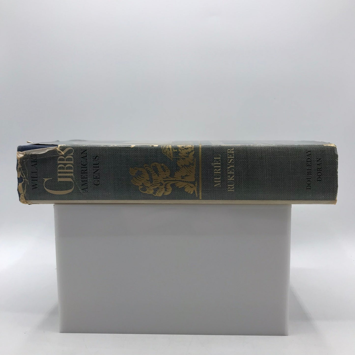 Willard Gibbs American Genius Muriel Rukeyser Biography Philosophy Prose Poetry