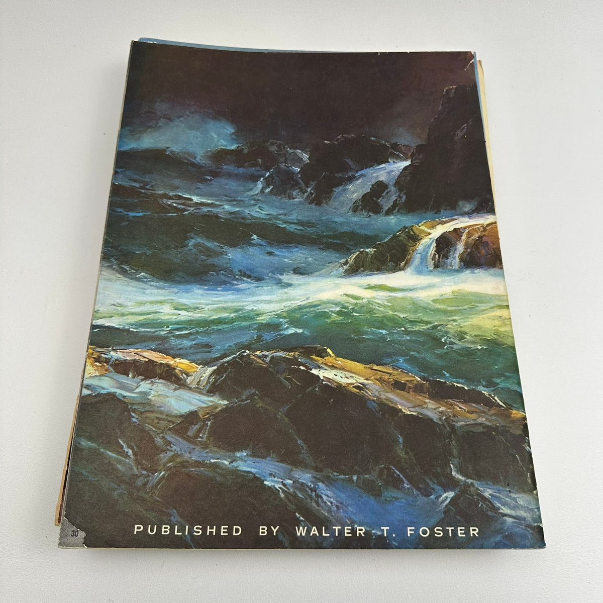 Walter T Foster Instructional Arts and Photography Artistic Guides Lot of 11