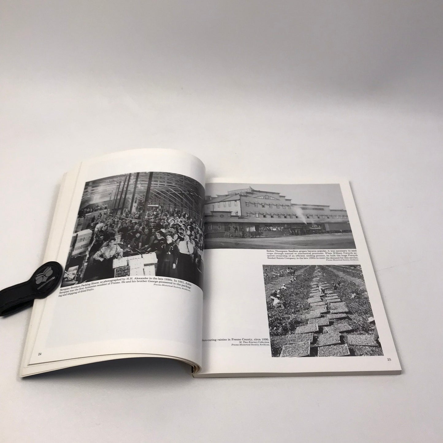 A Portrait of Fresno 1885-1985 Celebration Souvenir Edition Pictorial History