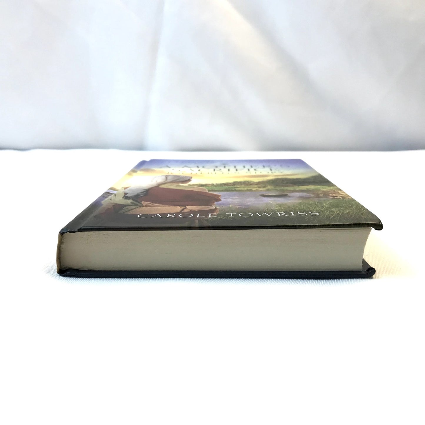A Mother's Sacrifice Jochebed's Story Hardcover Book by Carole Towriss 2019