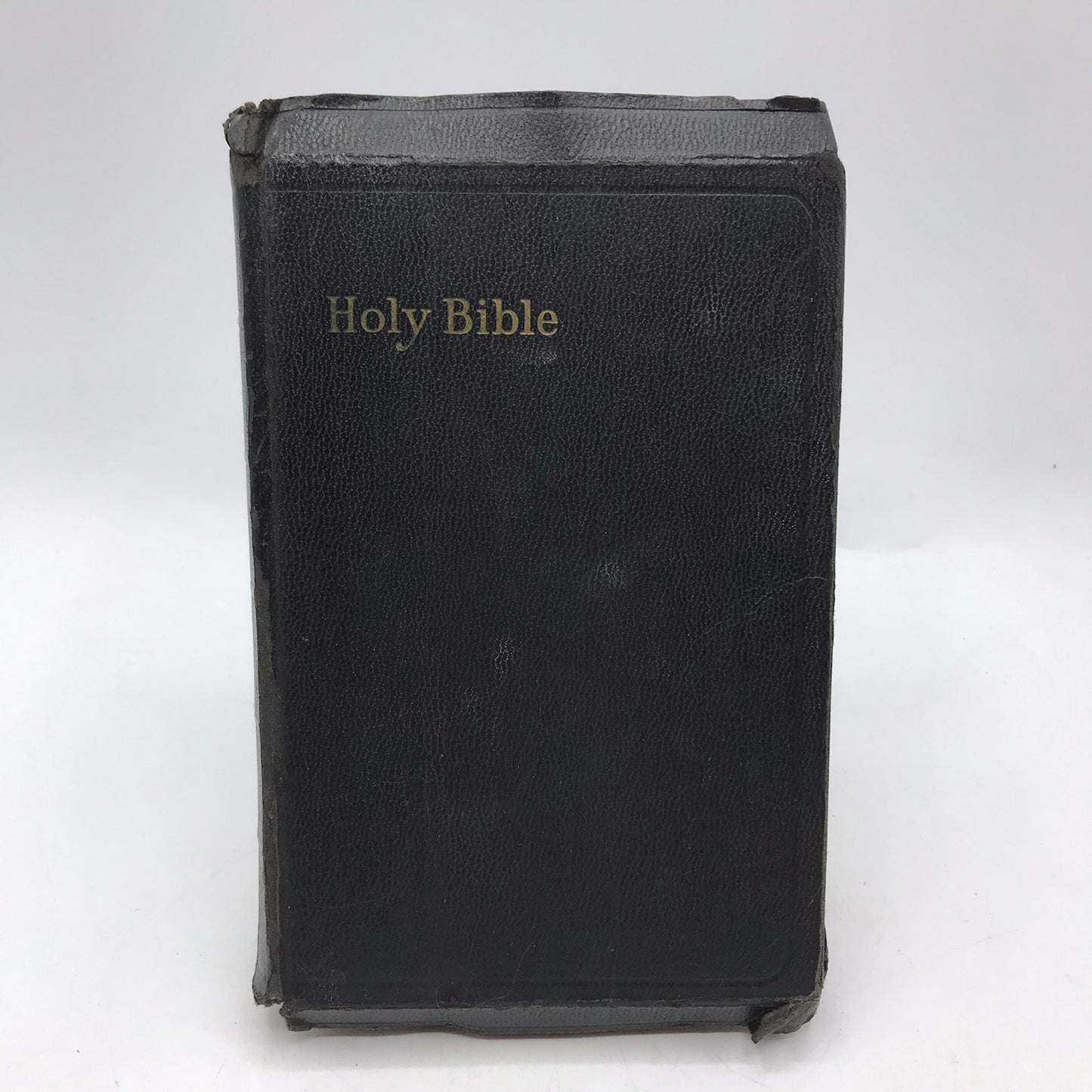 The Holy Bible International Series Self Pronouncing Christian Religion Theology