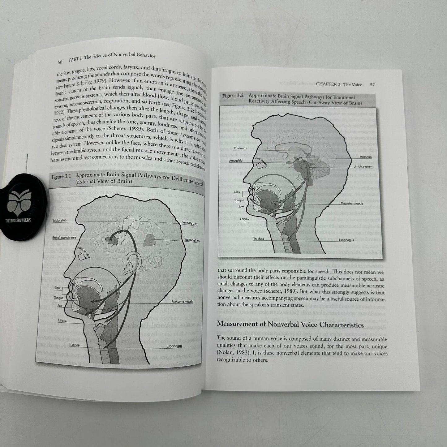 Nonverbal Communication Science and Application Psychology Matsumoto Frank Hwang