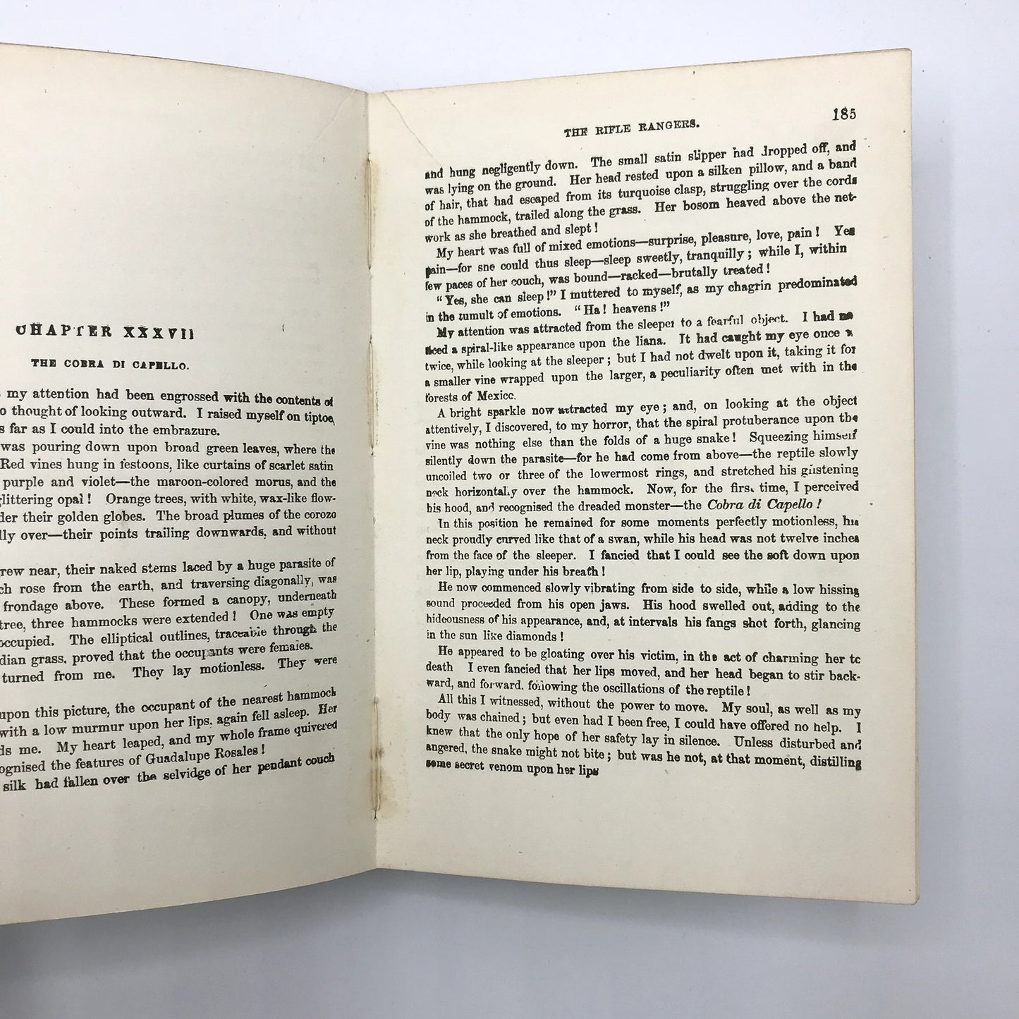 The Rifle Rangers Illustrated Vintage Hardcover Book by Captain Mayne Reid 1897