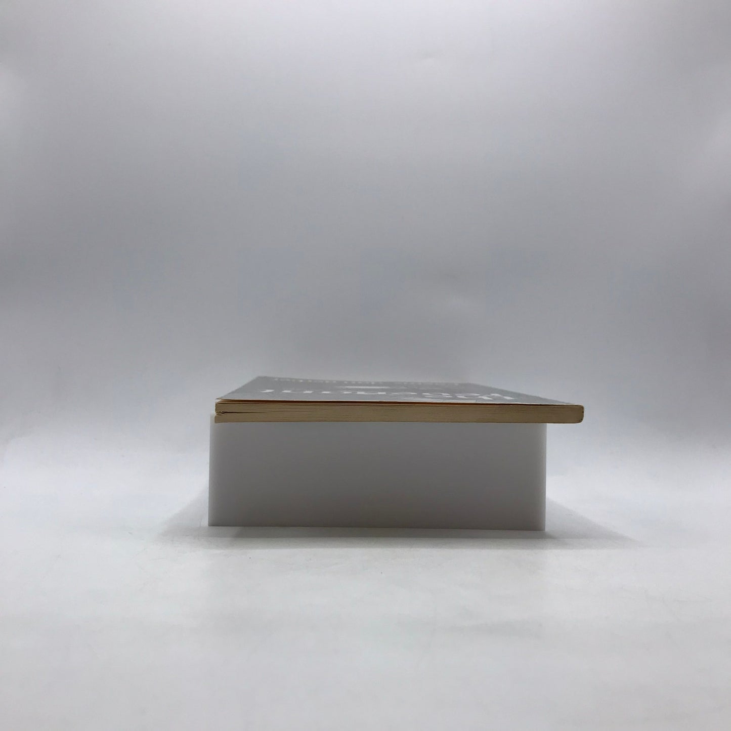 The Revenant Dan Gerber SIGNED Spiritual Mortality Solitude Contemporary Poetry