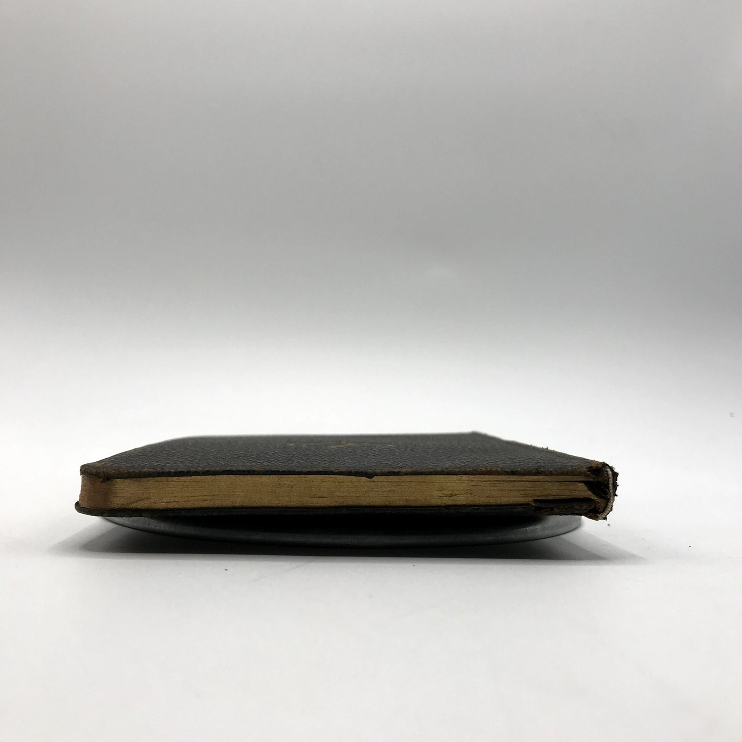 Poems by Mary Baker Eddy Raise The Dead, Heal the Sick Christian Hardcover 1910