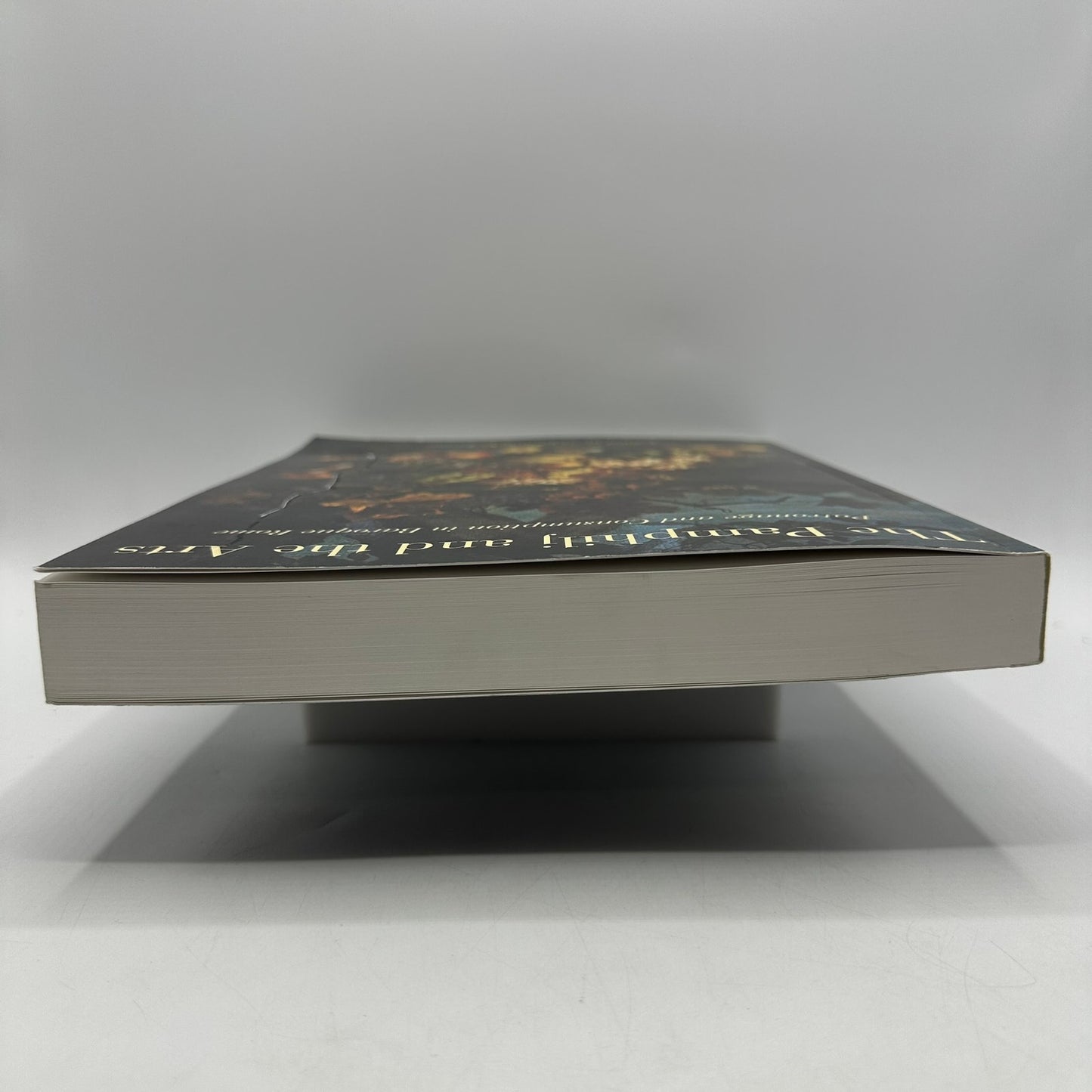 The Pamphilj and the Arts Stephanie C Leone Baroque Rococo History Criticism