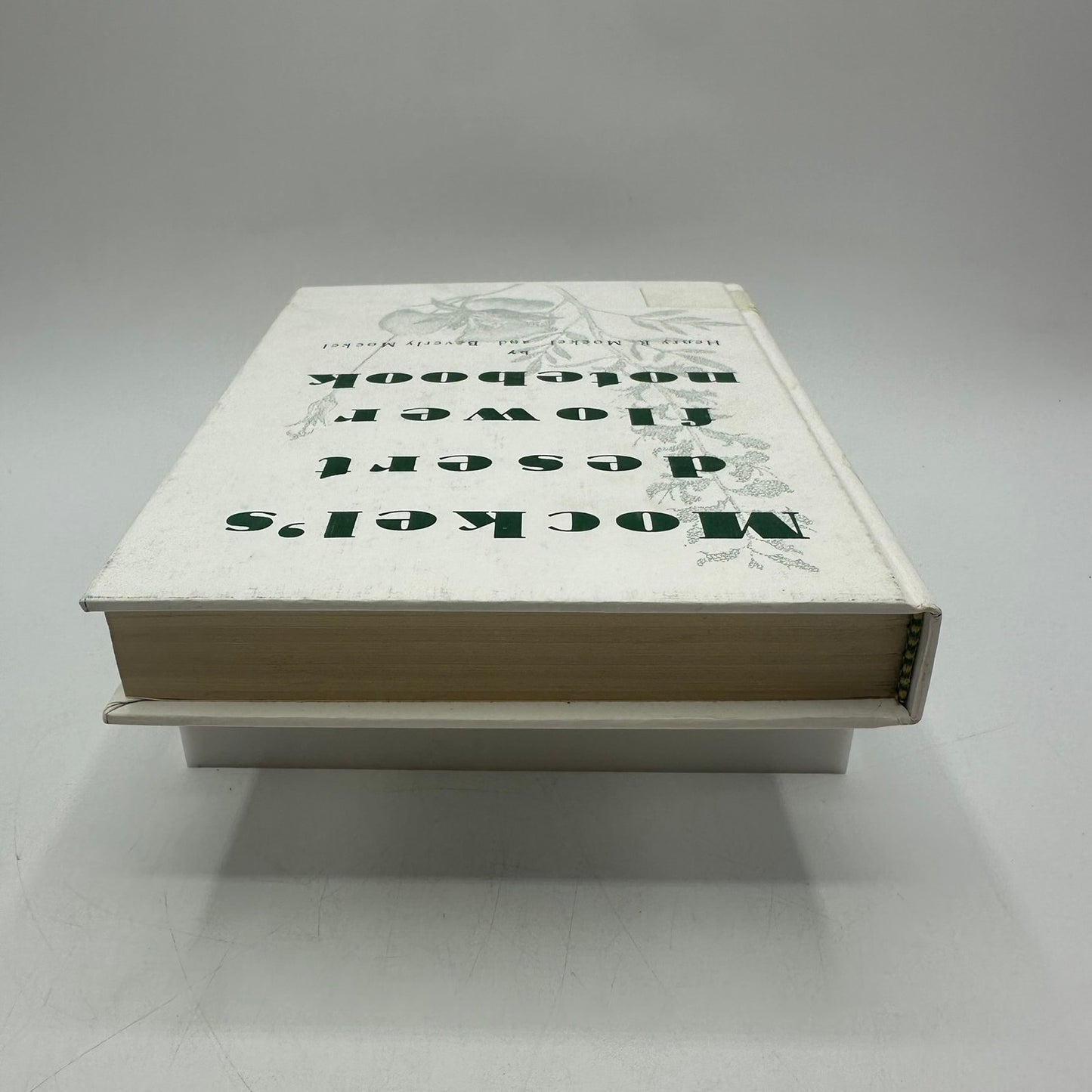 Mockels Desert Flower Notebook Henry Beverly SIGNED Drawings Watercolors 1971