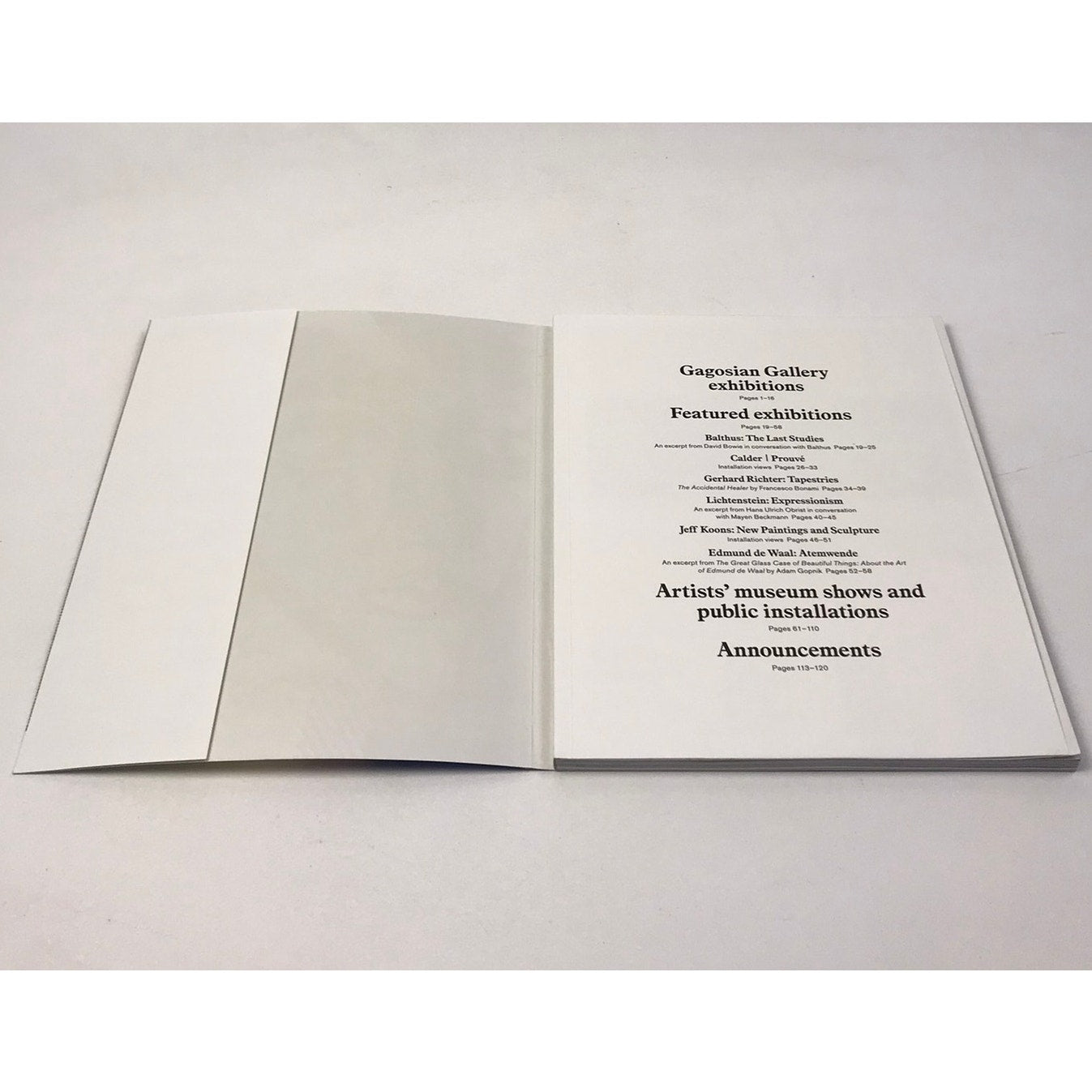 Gagosian Gallery Sept-Oct 2013 Catalog Contemporary Art Exhibition Auction Guide