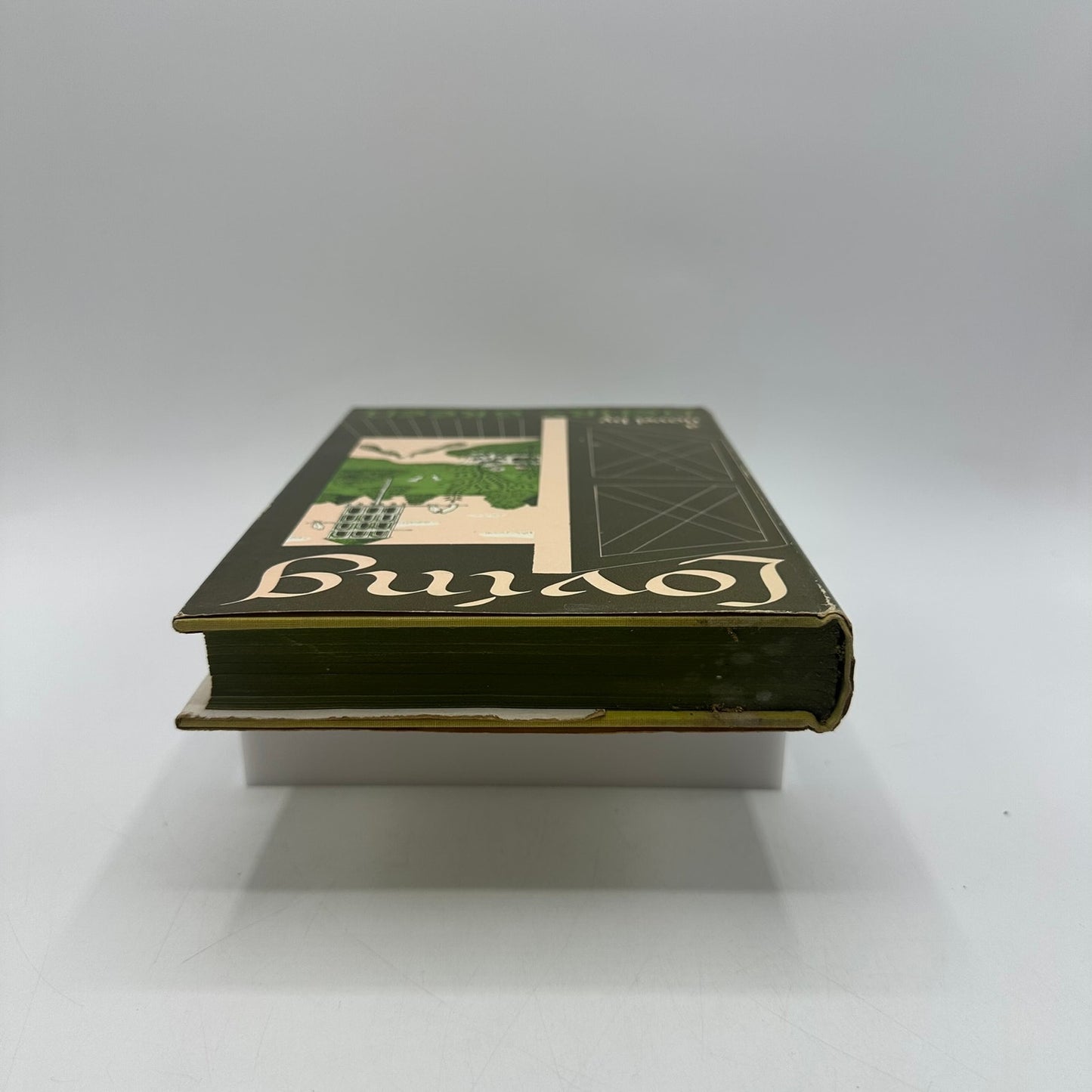 Loving Henry Green Historical Novel Classic Literature World War II Ireland 1949