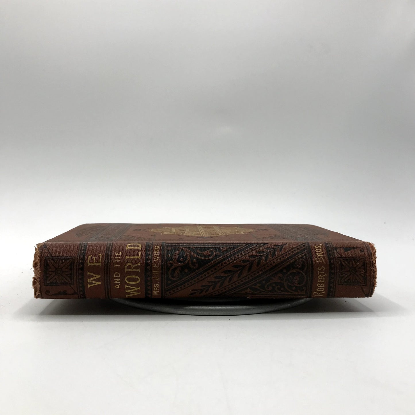 We & The World: A Book For Boys Illustrated Hardcover Juliana Horatia Ewing 1880