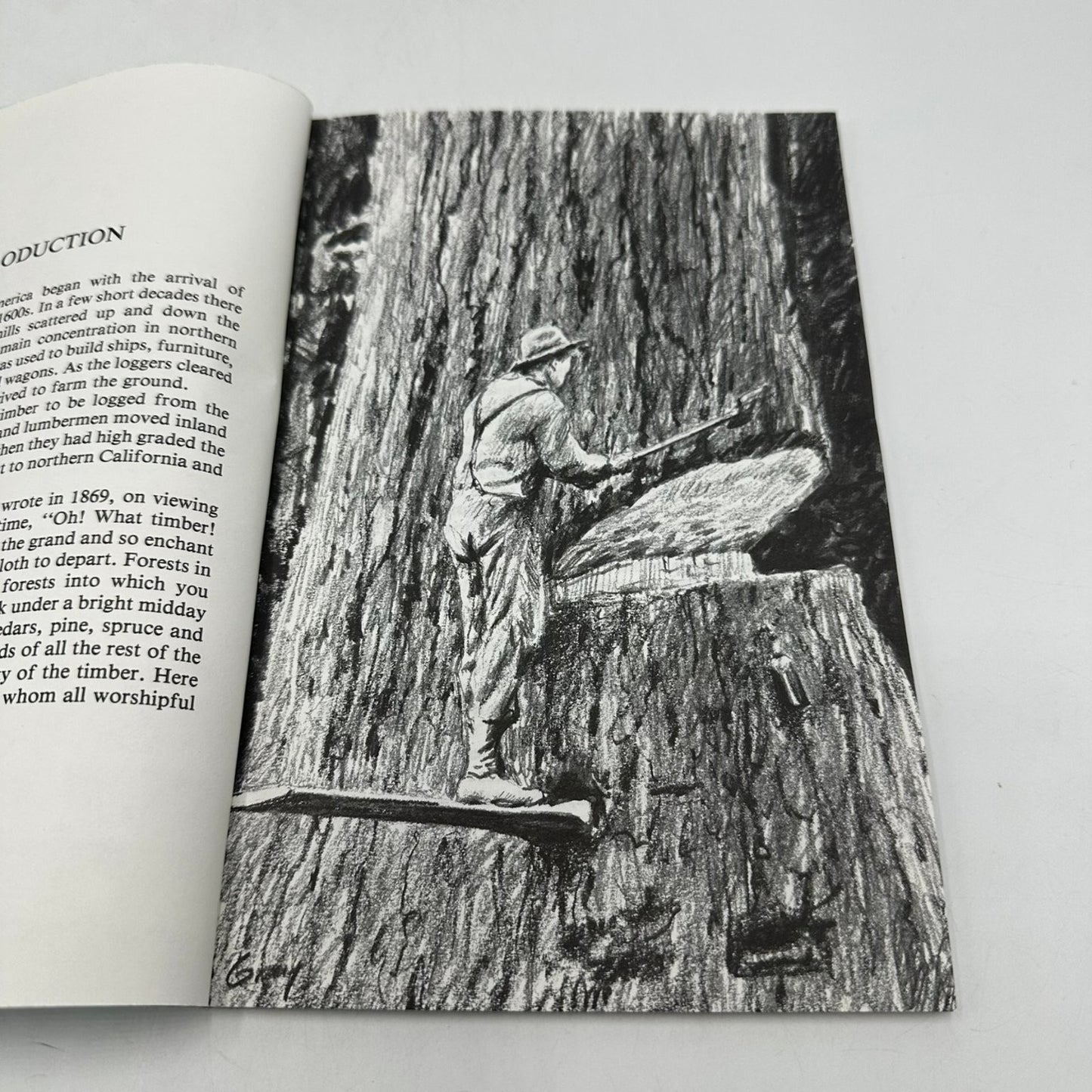Loggers Rick Steber 1989 First Printing Tales of Wild West Bonanza History