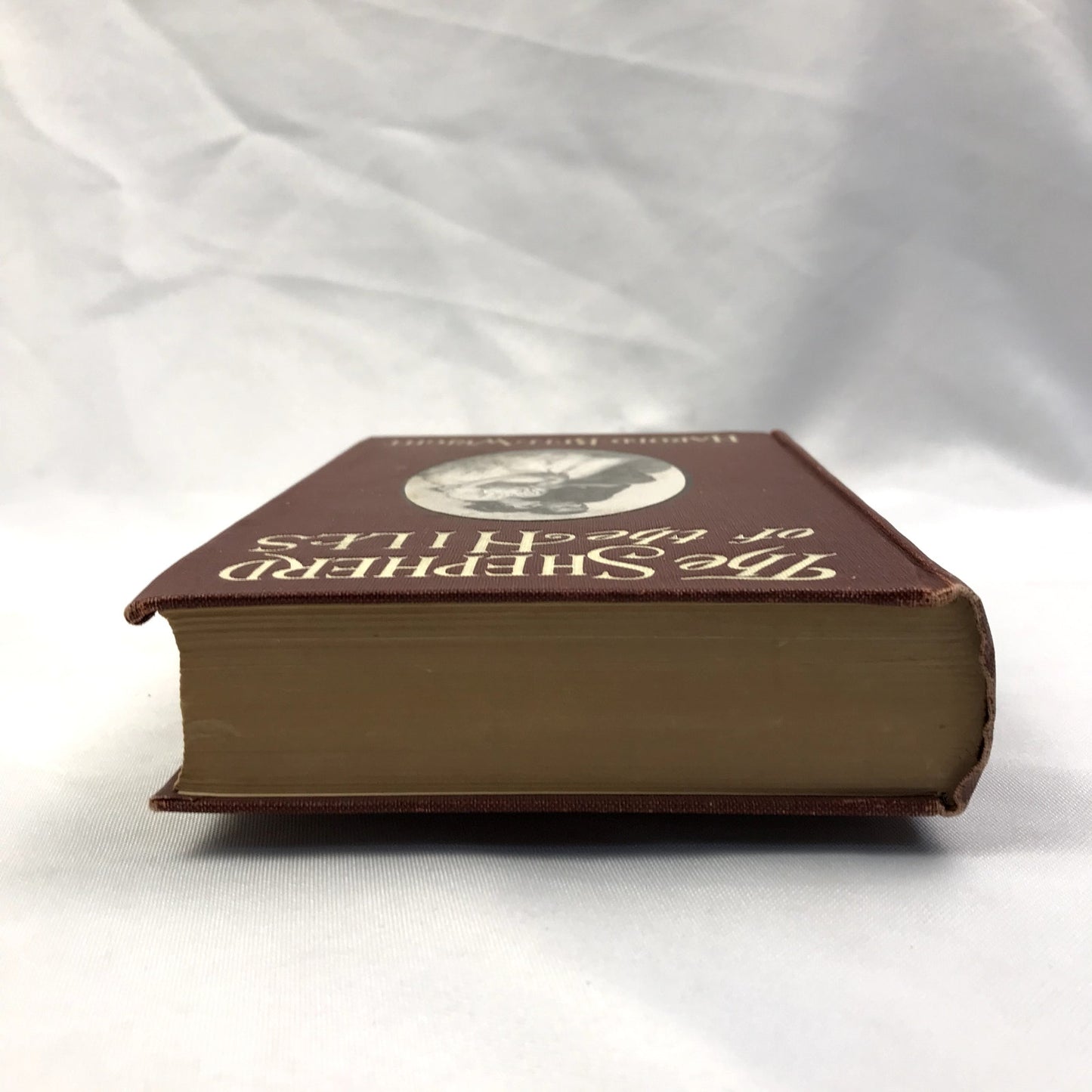 The Shepherd of the Hills Harold Bell Wright Illustrated Christian Fiction 1907