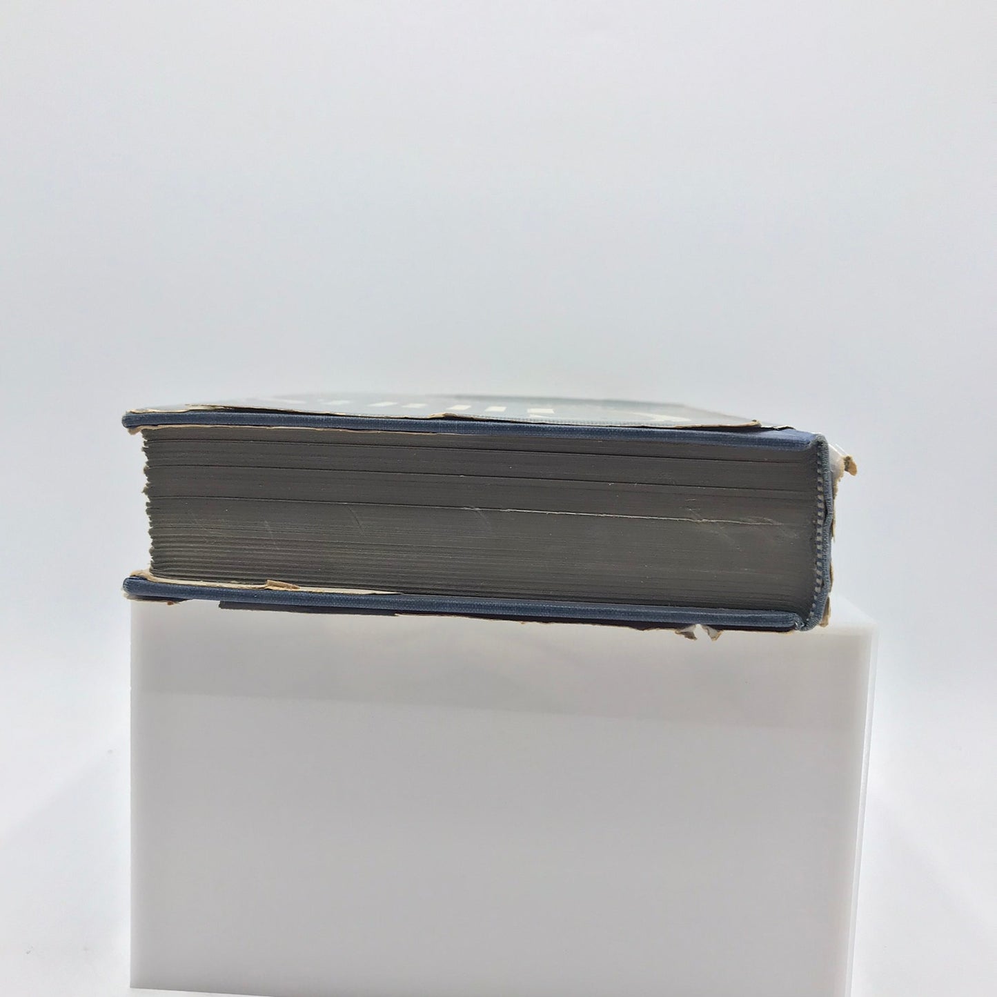 Willard Gibbs American Genius Muriel Rukeyser Biography Philosophy Prose Poetry
