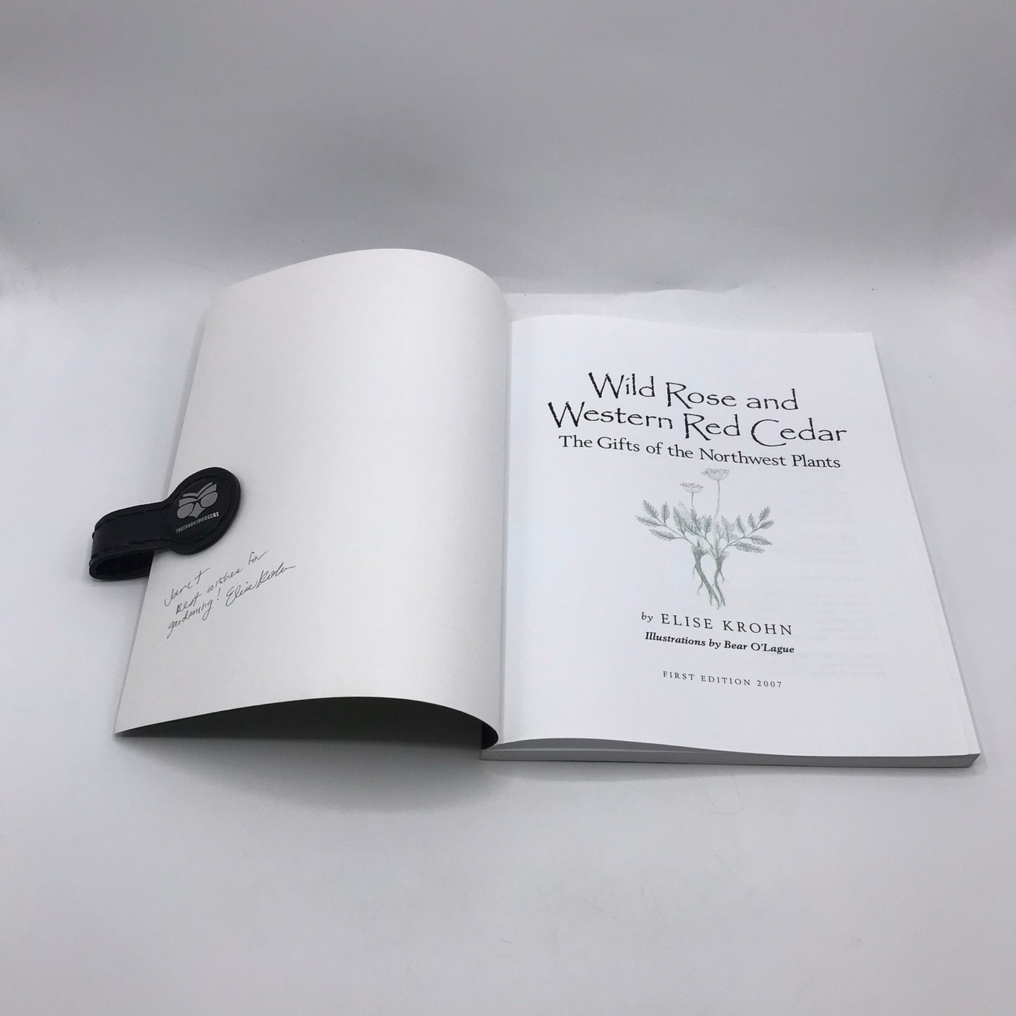 Wild Rose and Western Red Cedar Elise Krohn SIGNED Northwest Plant Medicine