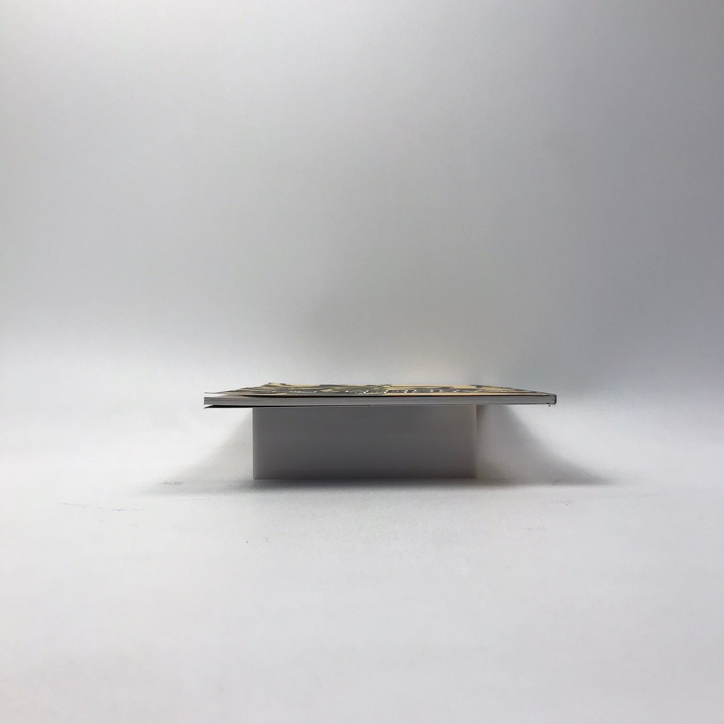 Carolee Schneemann Within and Beyond the Premises SIGNED Art Exhibition Catalog