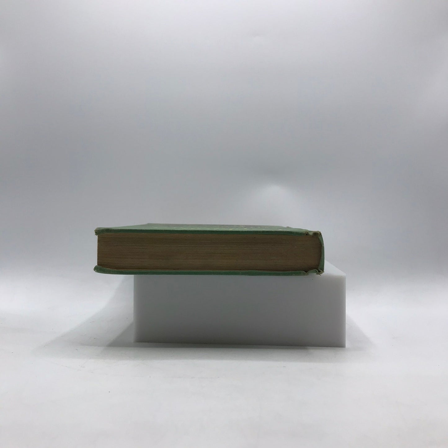 Looking Forward Easy Growth in Reading Revised Edition Children Family Adventure