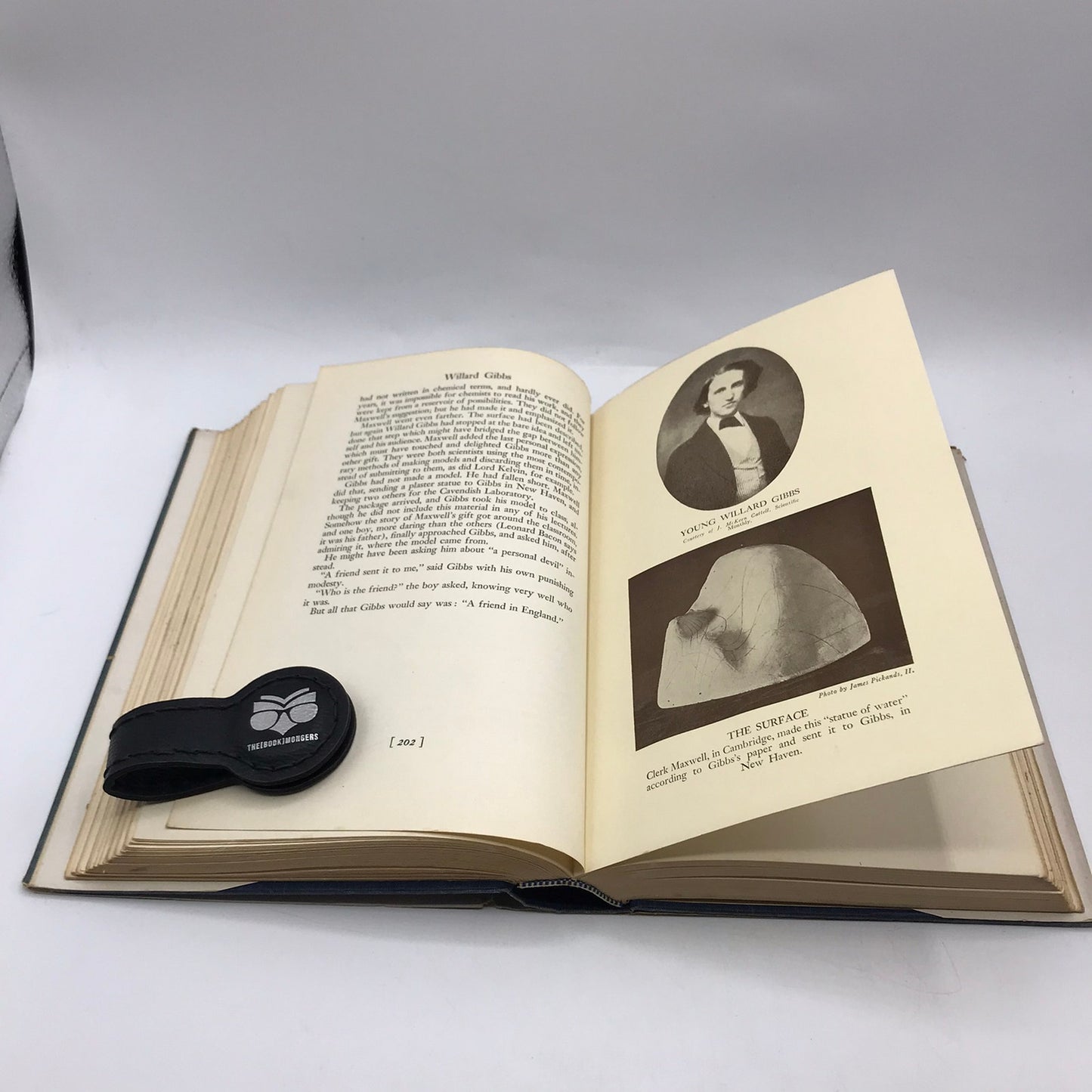 Willard Gibbs American Genius Muriel Rukeyser Biography Philosophy Prose Poetry