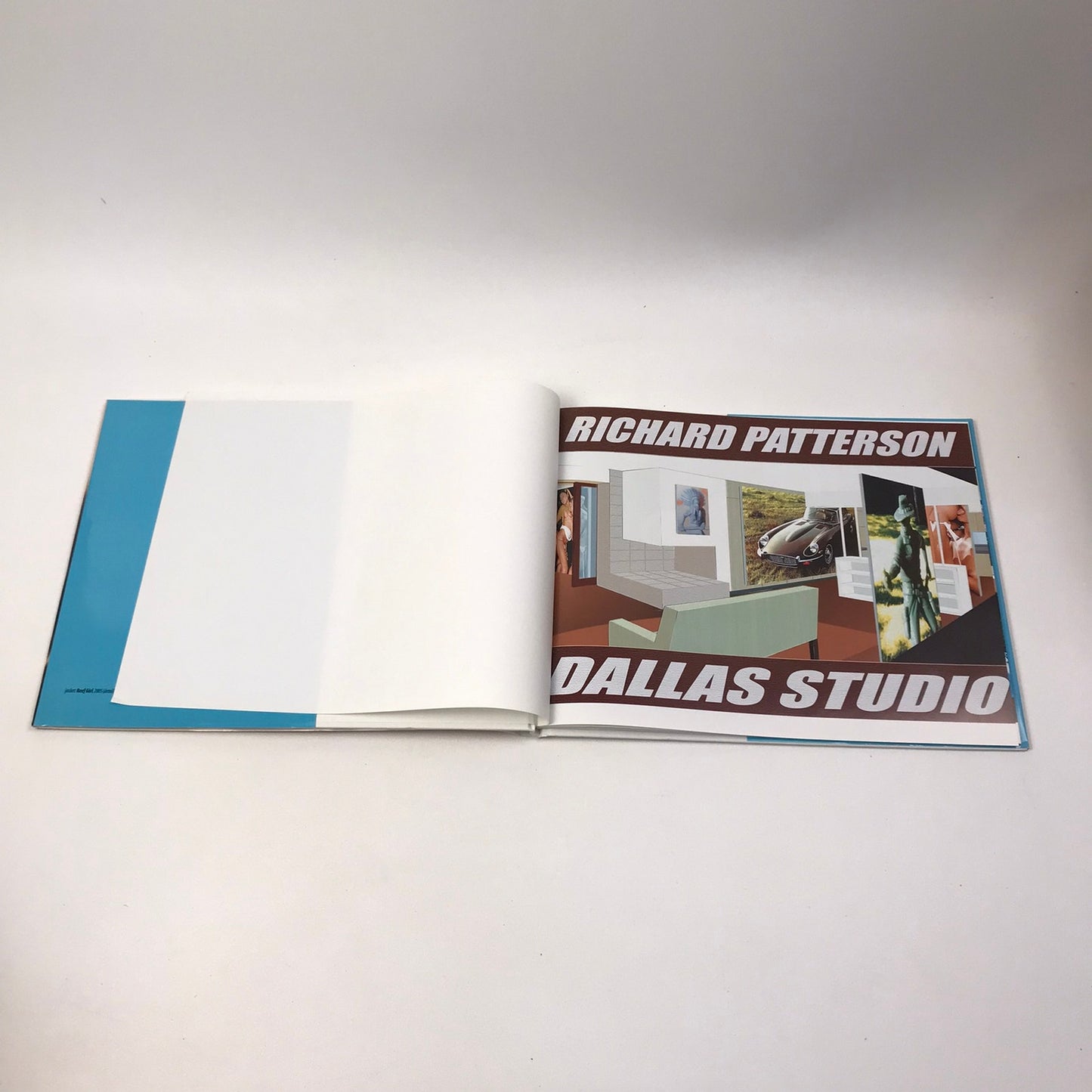 Richard Patterson Paintings from Dallas Contemporary Art Exhibition Catalog 2005