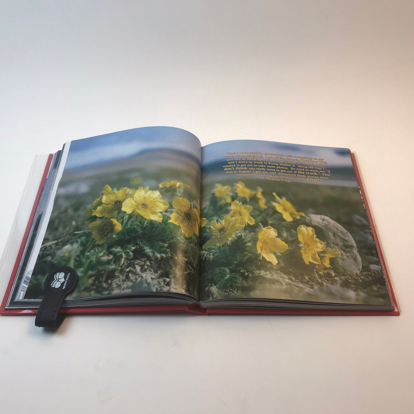Alyeska: A 30 Year Journey by Alyeska Pipeline Service Company Hardcover 2007
