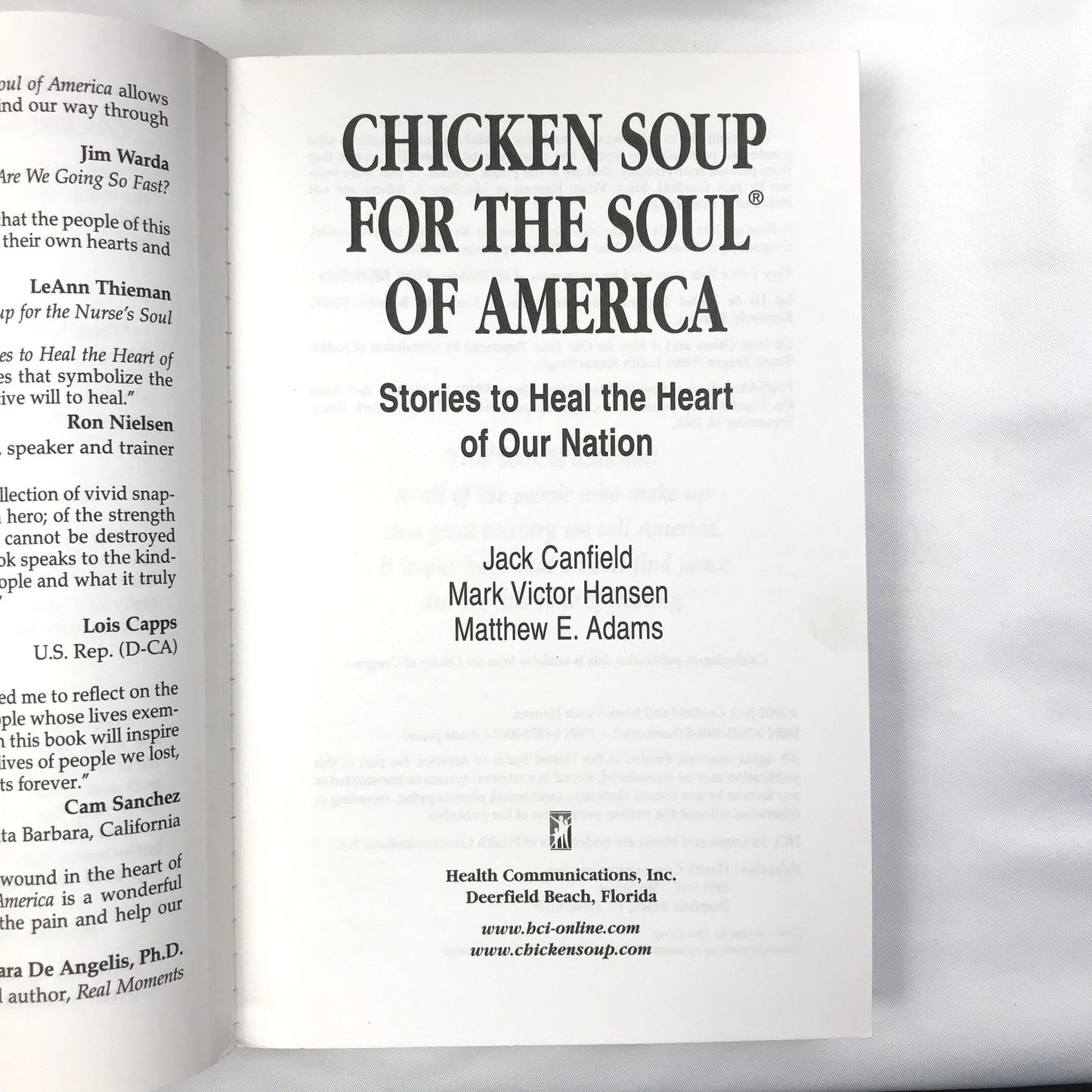 Lot of 12 Chicken Soup for the Soul Books Jack Canfield, Mark Victor Hansen etc.